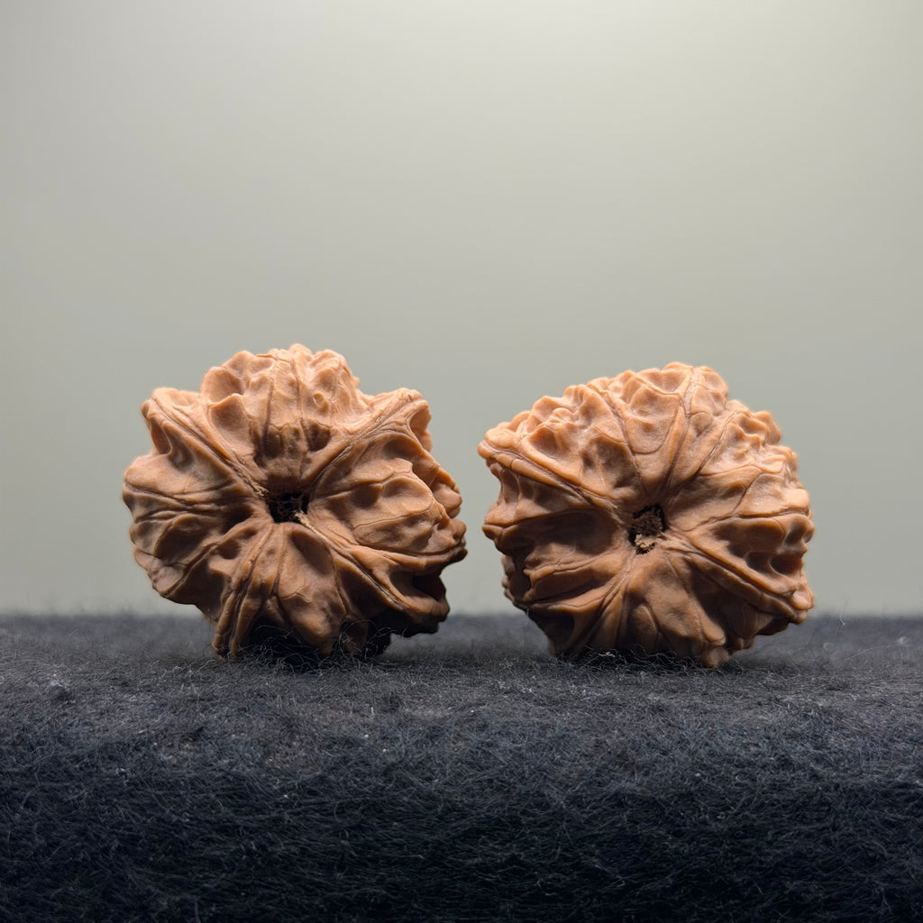Jade Seal Four-Rib Wenwan Walnut · 35mm · Natural · Select Ritual