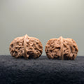 Mentougou Ingot Wenwan Walnut · 38mm · Natural · Premium Ritual