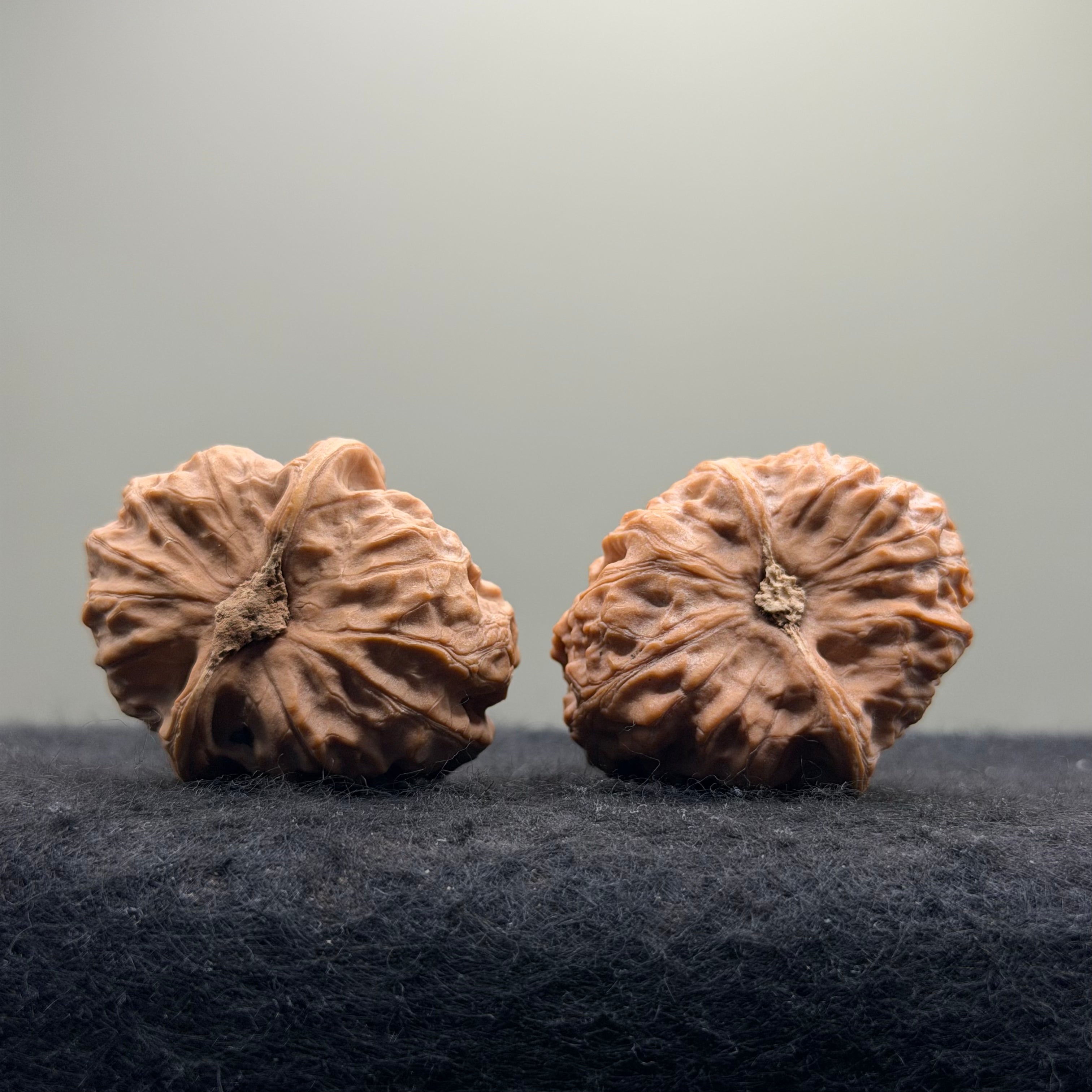Mentougou Ingot Wenwan Walnut · 38mm · Natural · Premium Ritual