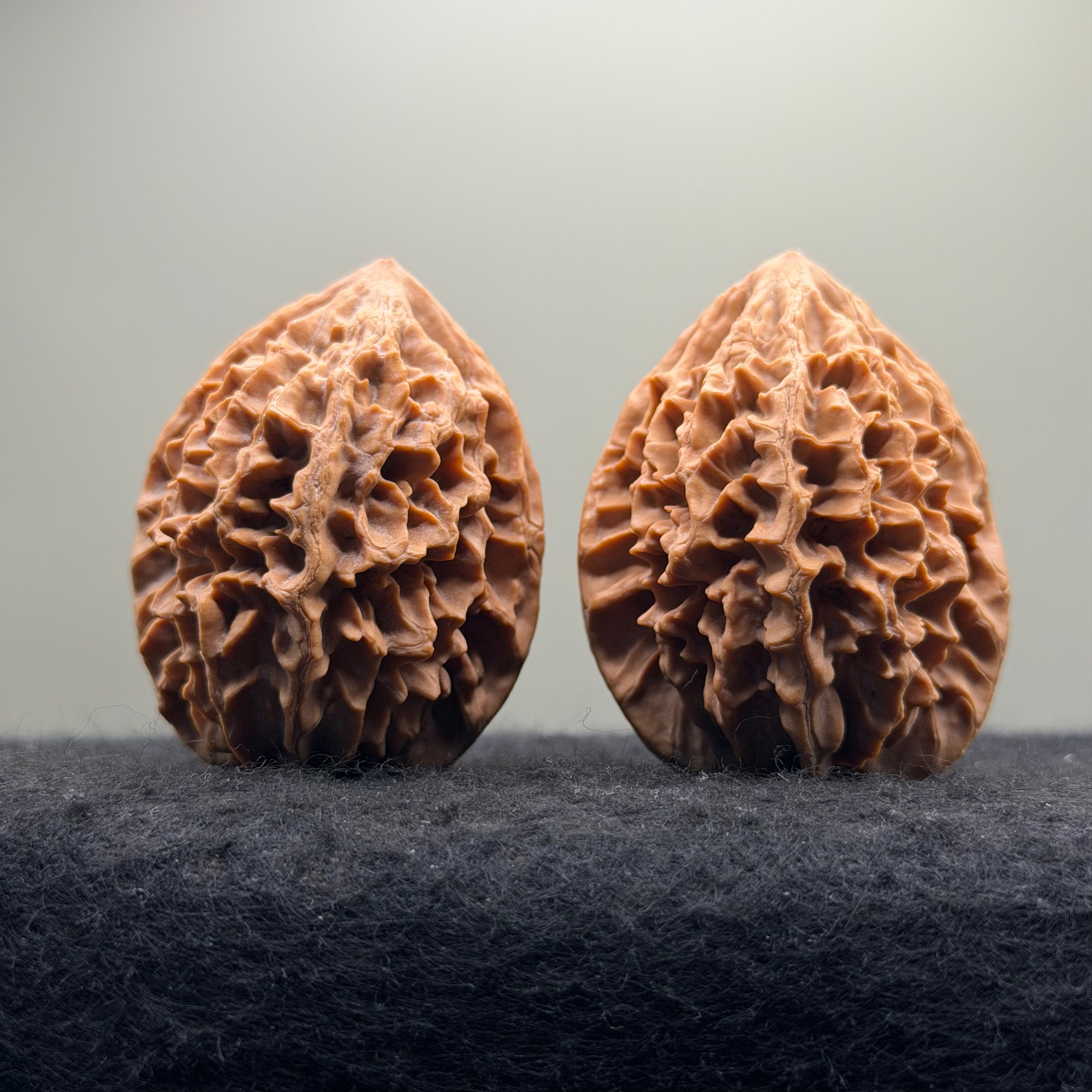 Fortune Rat Wenwan Walnut · 53mm · Natural· Premium Ritual