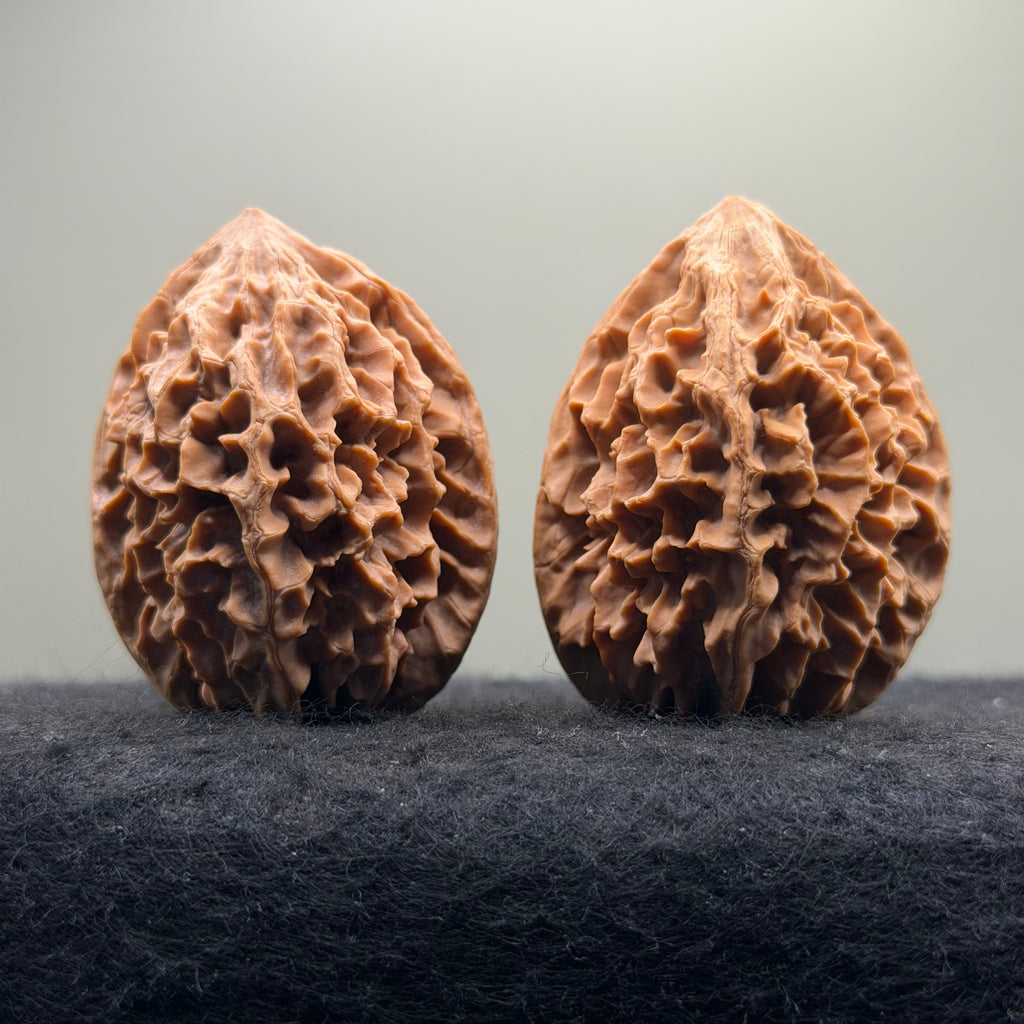 Fortune Rat Wenwan Walnut · 53mm · Natural· Premium Ritual