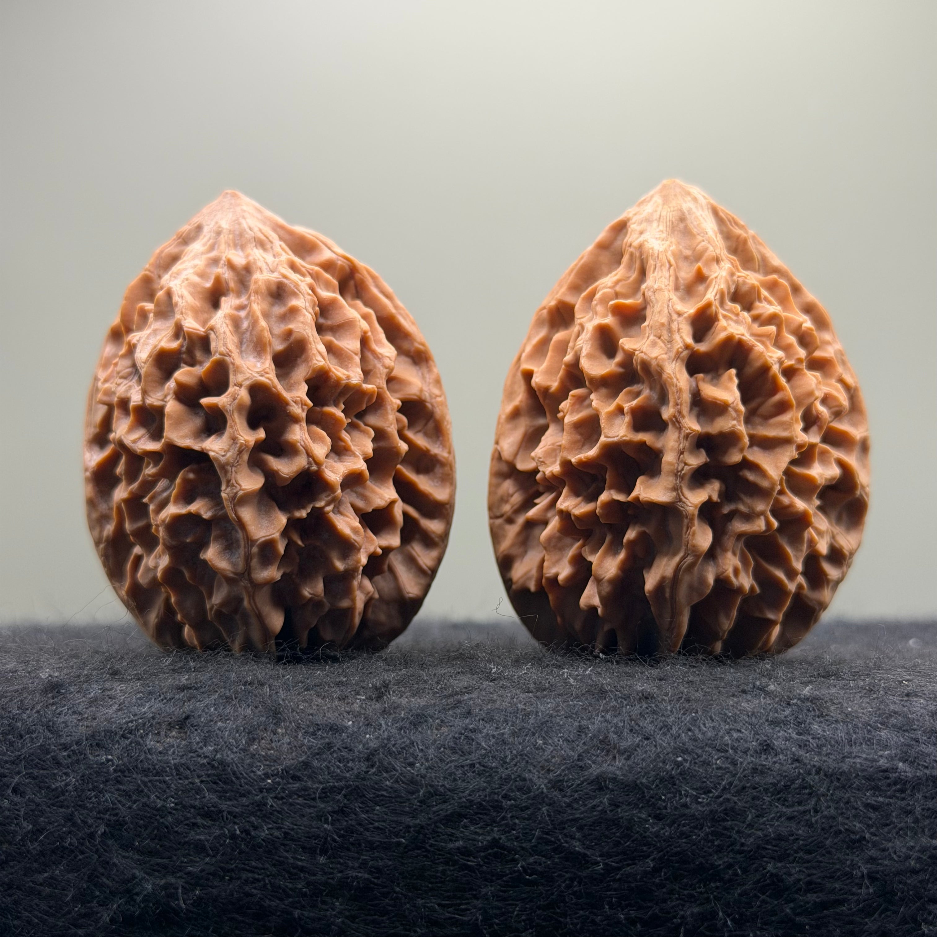 Fortune Rat Wenwan Walnut · 53mm · Natural· Premium Ritual