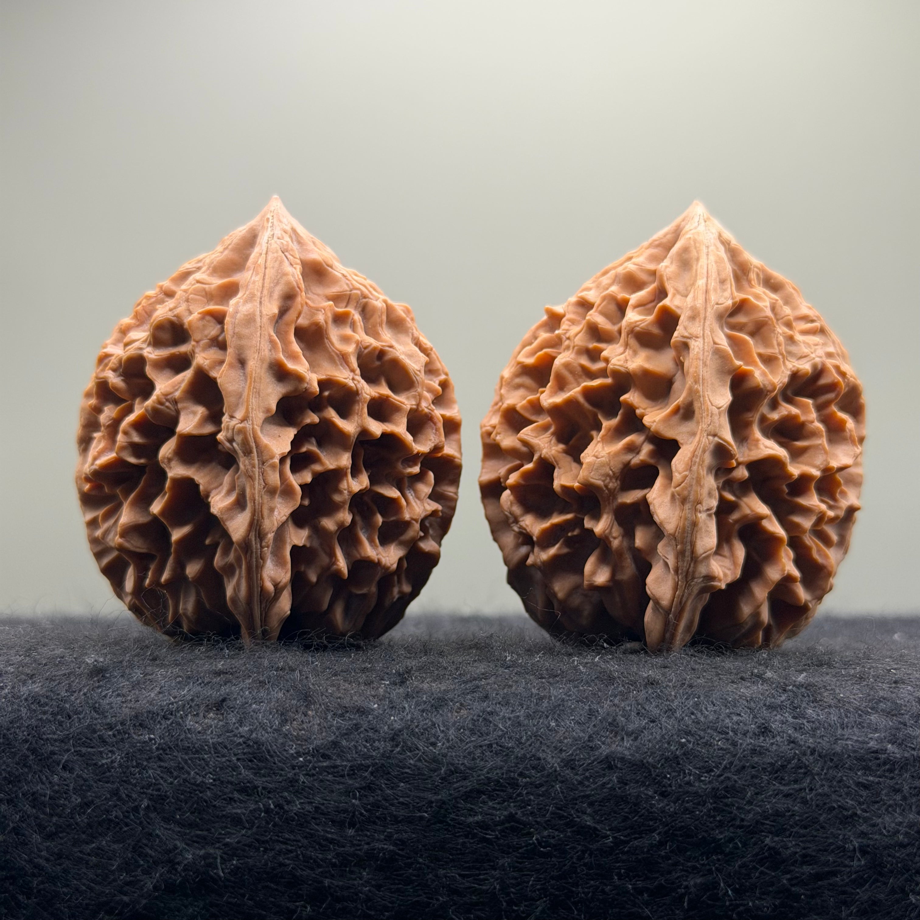 Fortune Rat Wenwan Walnut · 53mm · Natural· Premium Ritual