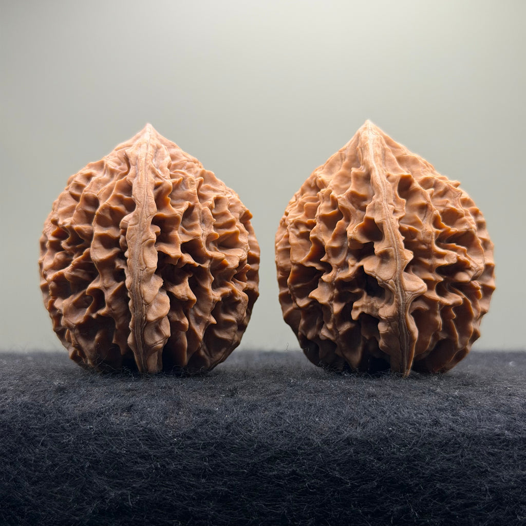 Fortune Rat Wenwan Walnut · 53mm · Natural· Premium Ritual