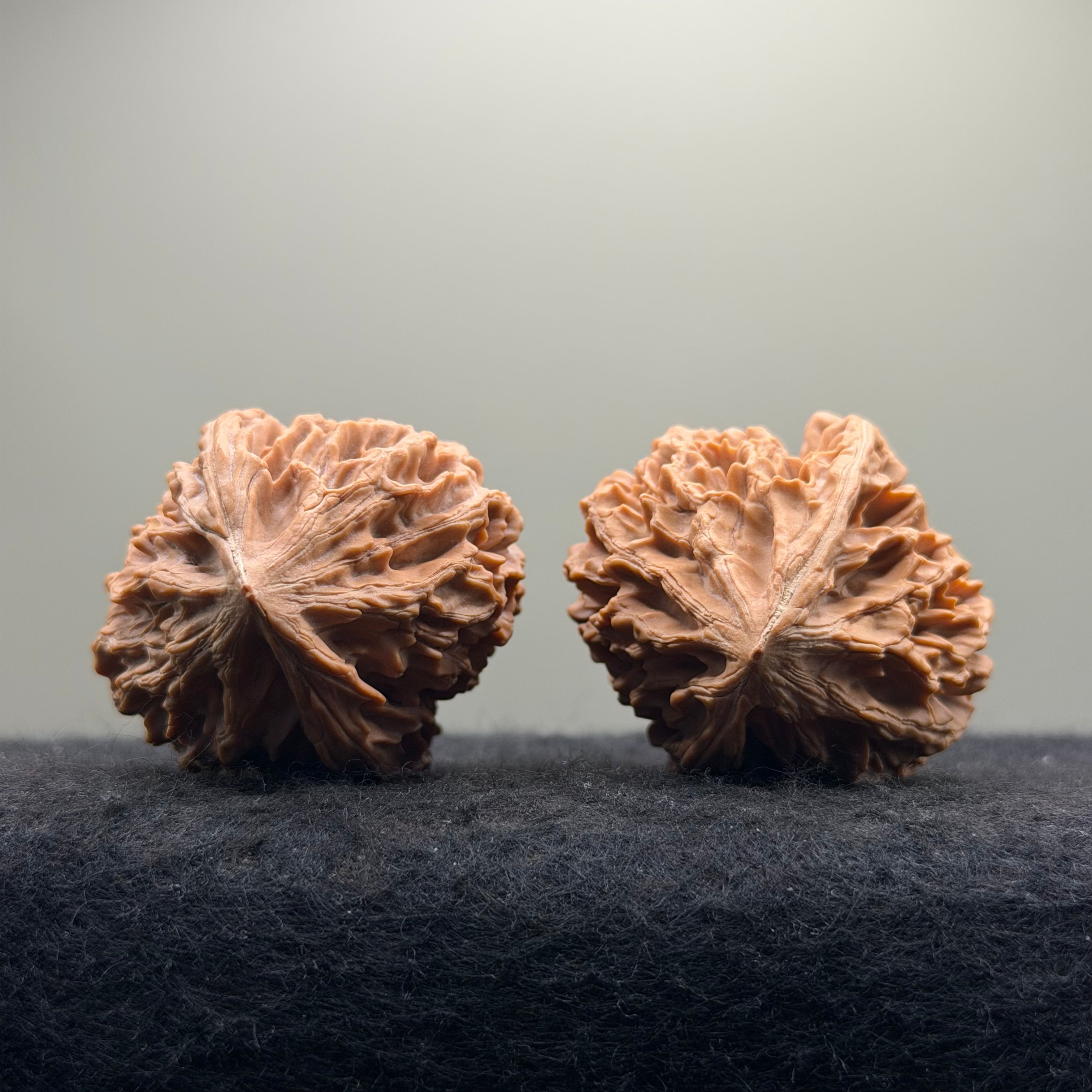 Fortune Rat Wenwan Walnut · 53mm · Natural· Premium Ritual