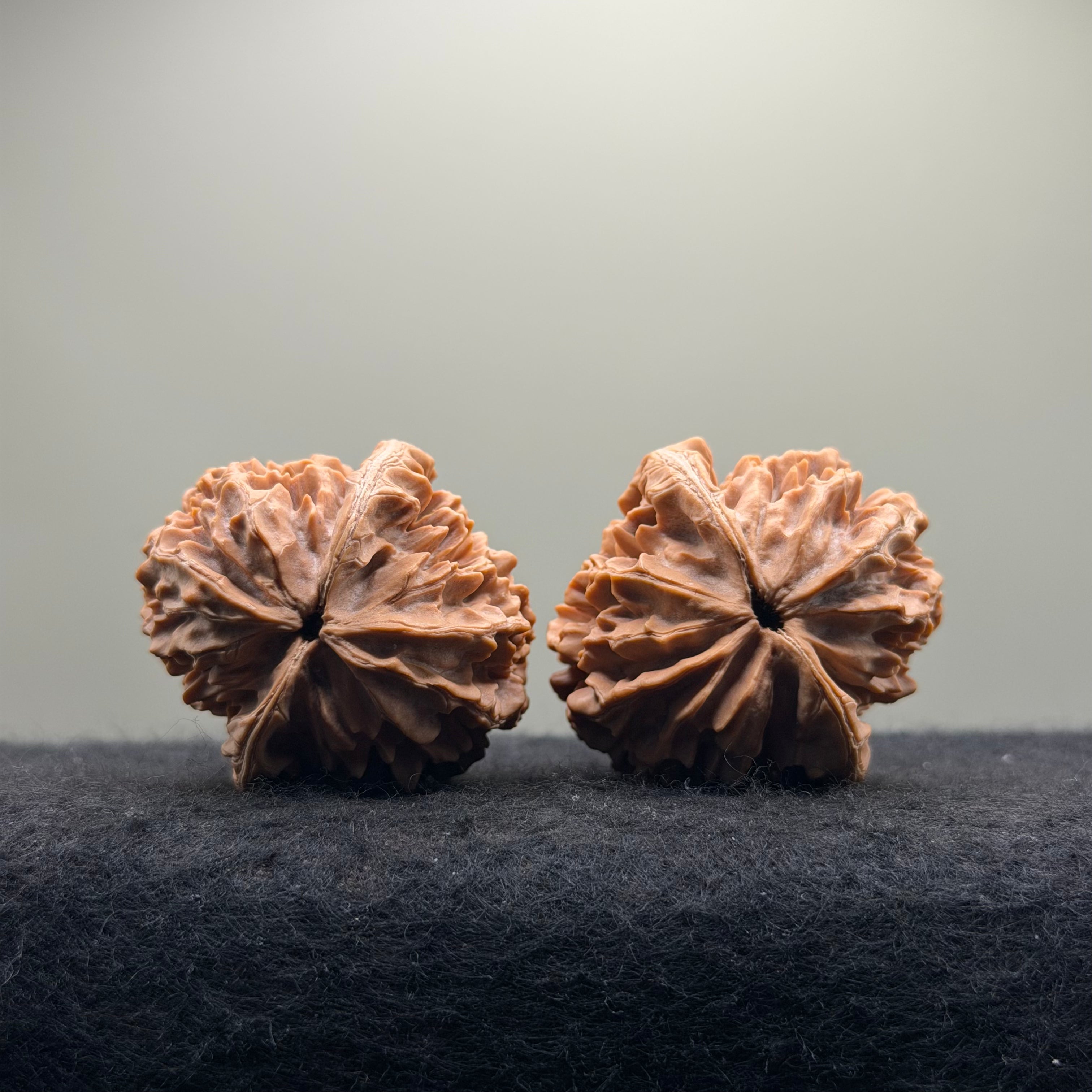 Fortune Rat Wenwan Walnut · 53mm · Natural· Premium Ritual