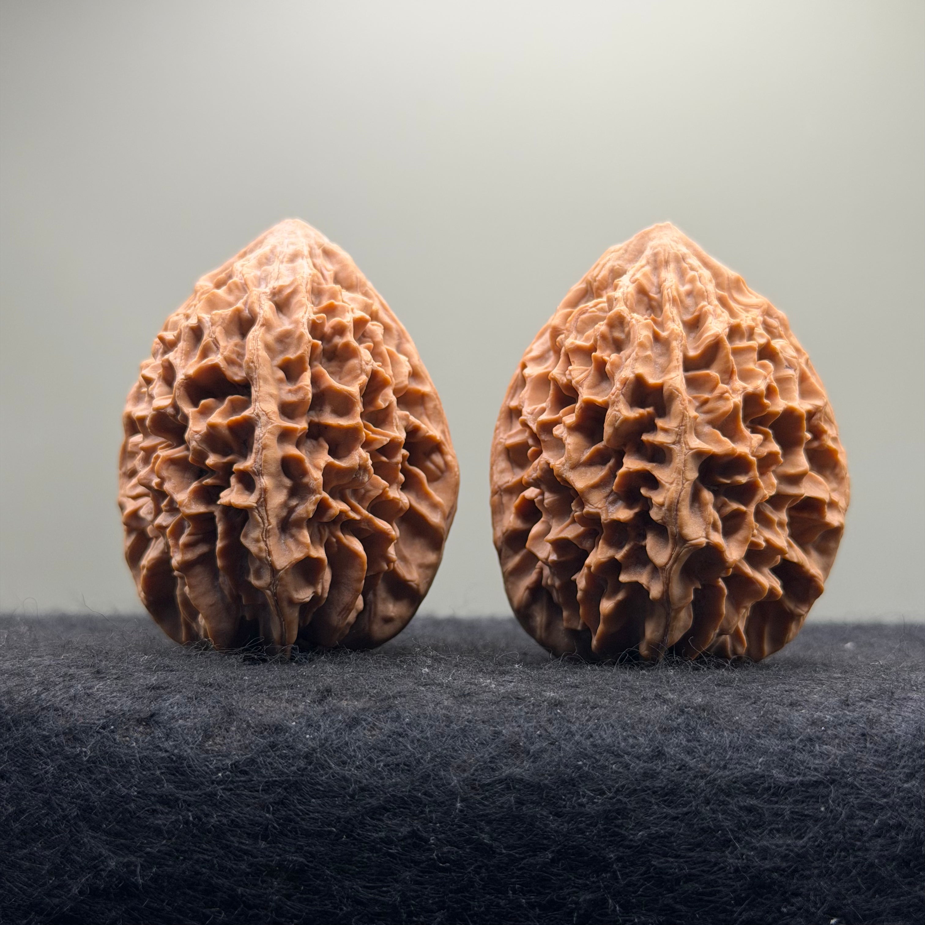 Fortune Rat Wenwan Walnut · 56mm · Natural · Premium Ritual