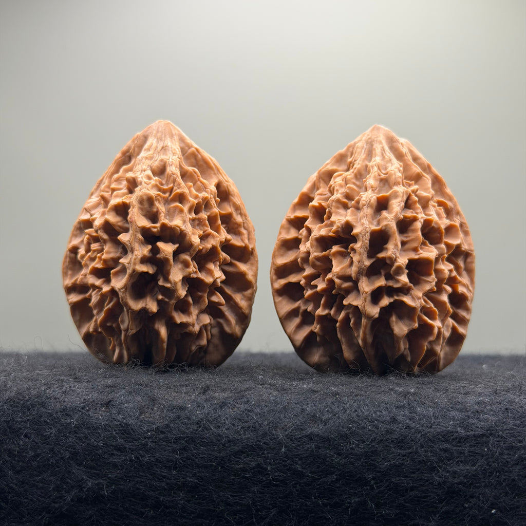 Fortune Rat Wenwan Walnut · 56mm · Natural · Premium Ritual