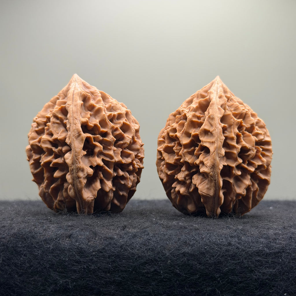 Fortune Rat Wenwan Walnut · 56mm · Natural · Premium Ritual