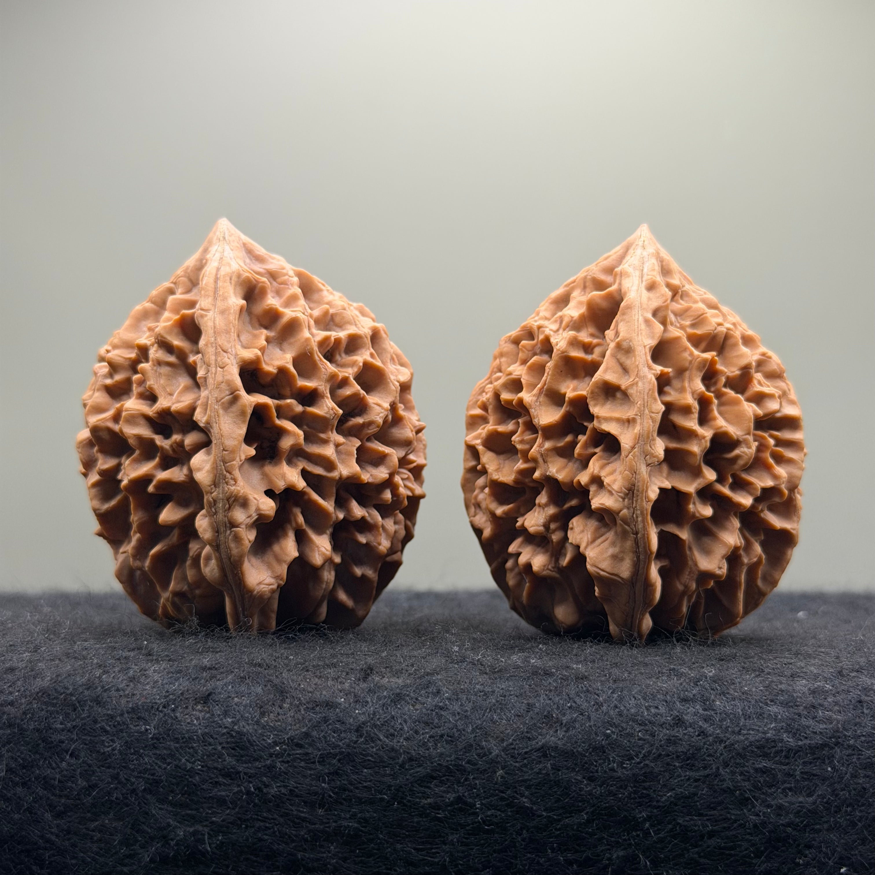 Fortune Rat Wenwan Walnut · 56mm · Natural · Premium Ritual