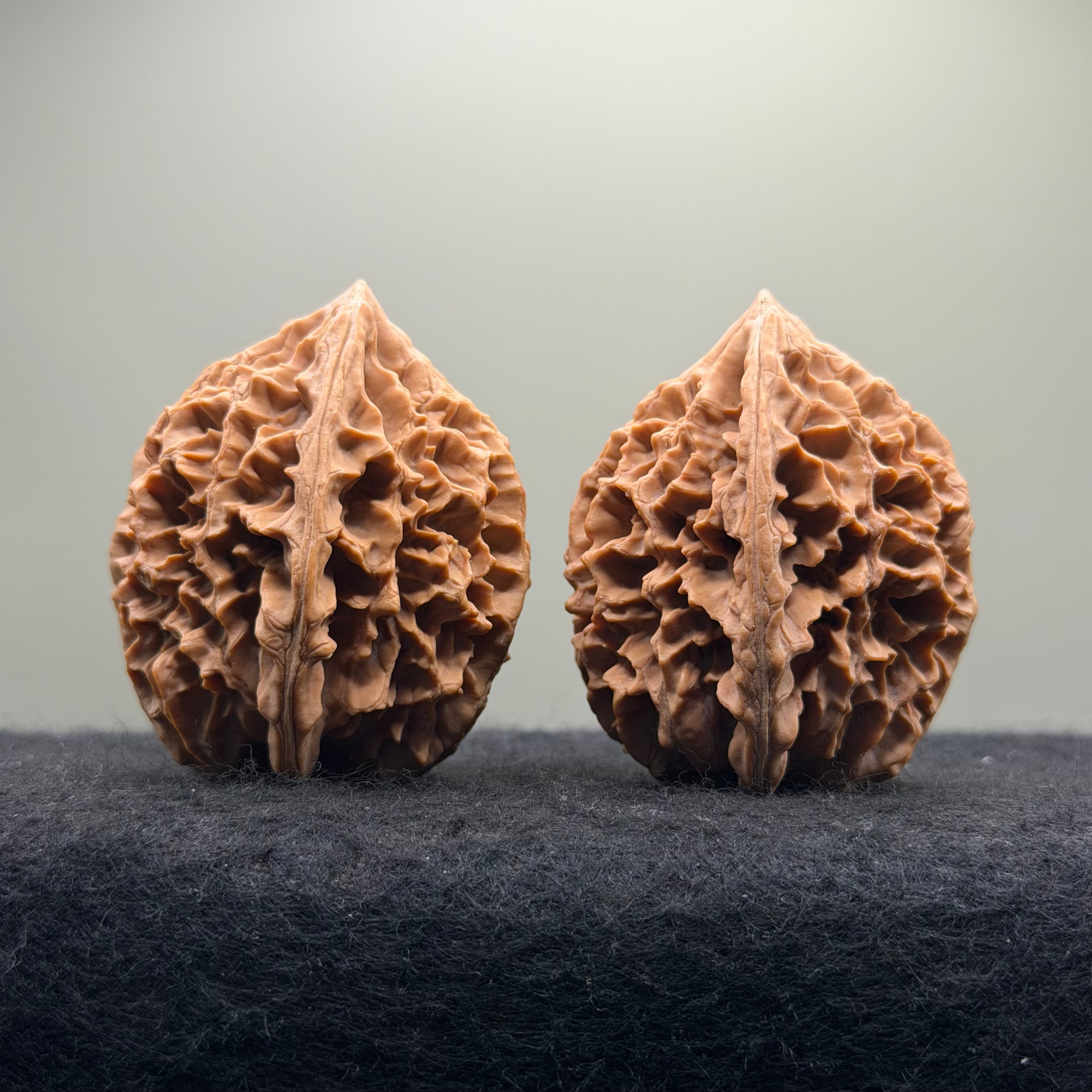 Fortune Rat Wenwan Walnut · 56mm · Natural · Premium Ritual