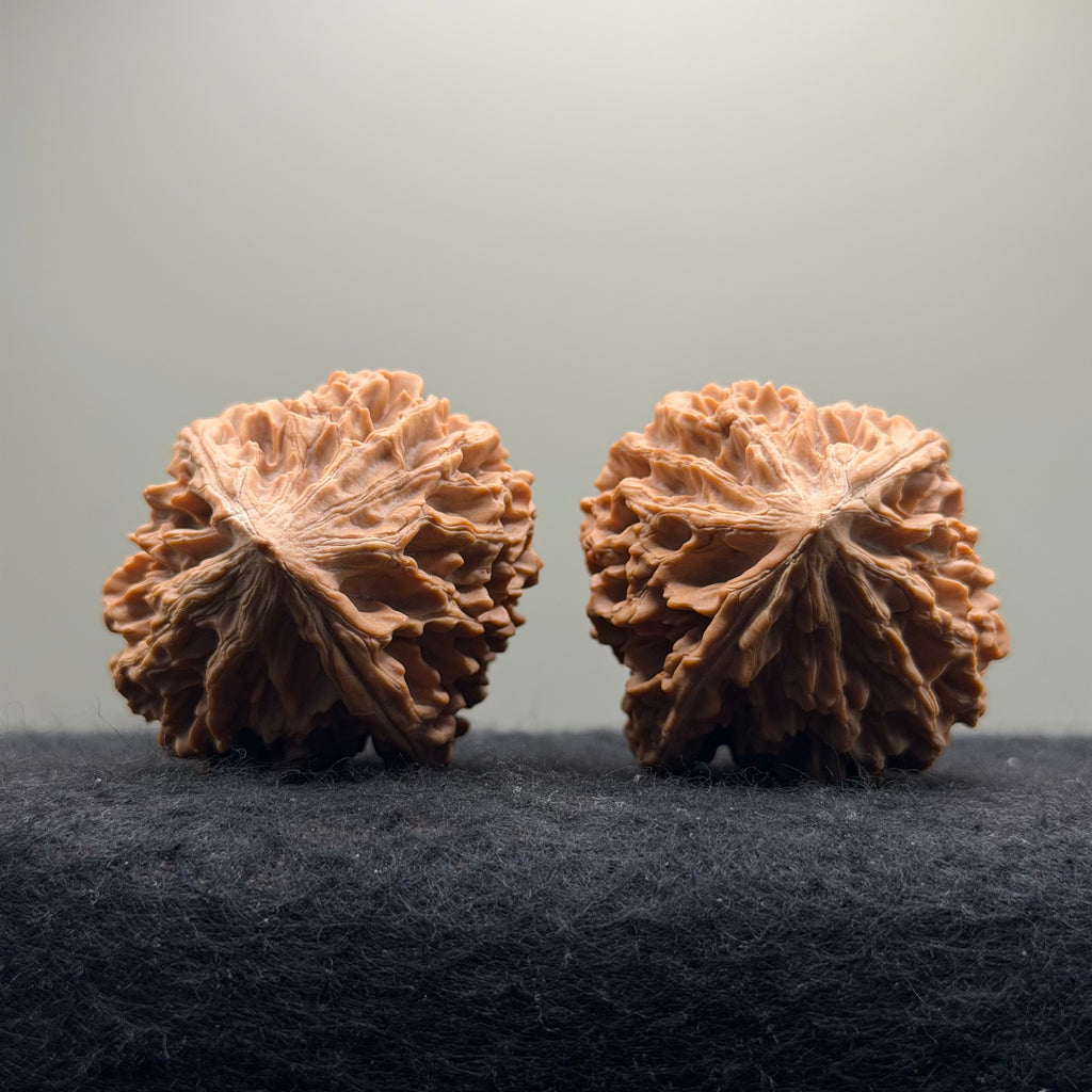 Fortune Rat Wenwan Walnut · 56mm · Natural · Premium Ritual