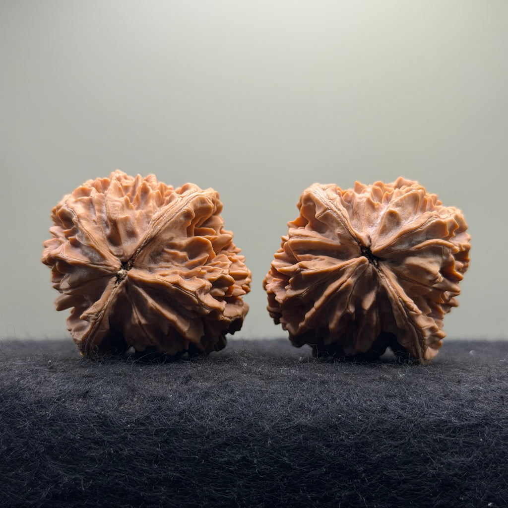 Fortune Rat Wenwan Walnut · 56mm · Natural · Premium Ritual