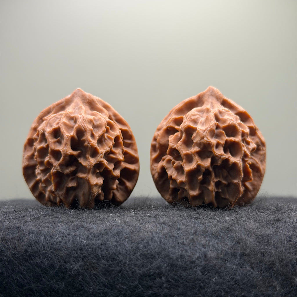 Dragon Scale Wenwan Walnut · 39mm · Natural · Collector Ritual