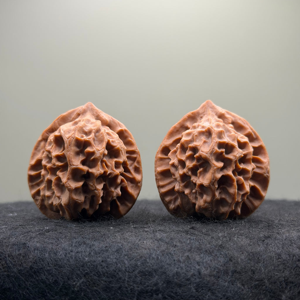 Dragon Scale Wenwan Walnut · 39mm · Natural · Collector Ritual