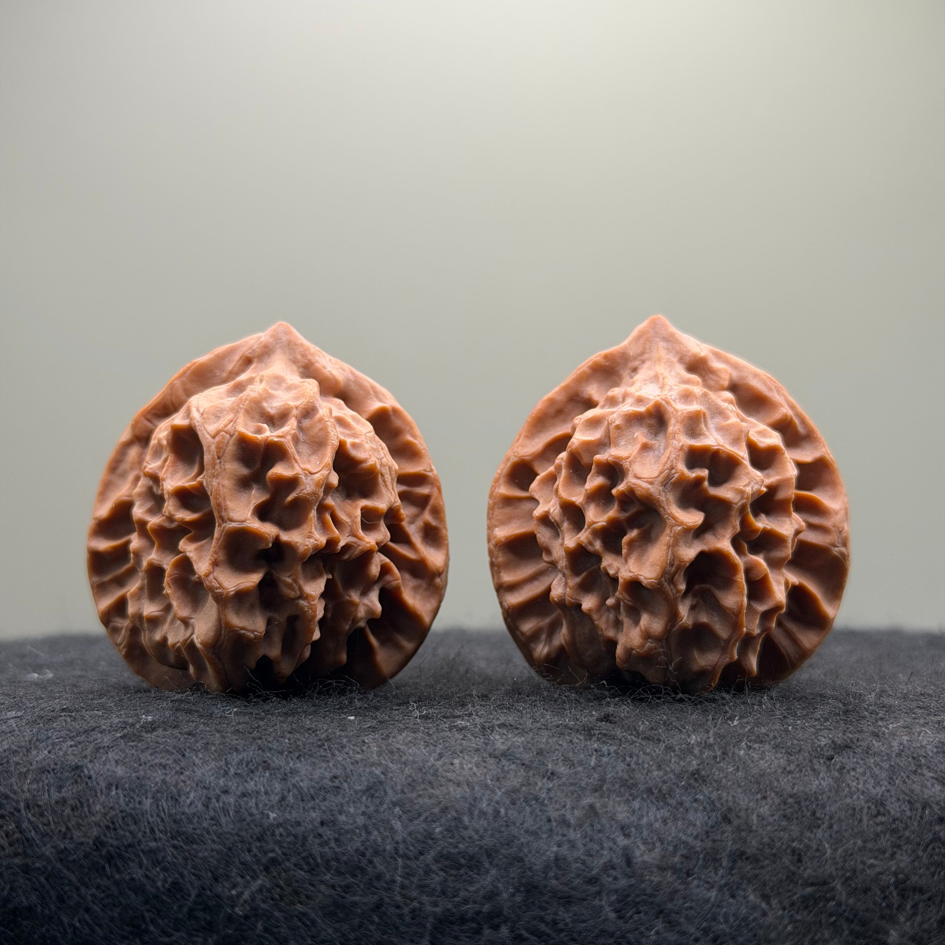 Dragon Scale Wenwan Walnut · 39mm · Natural · Collector Ritual