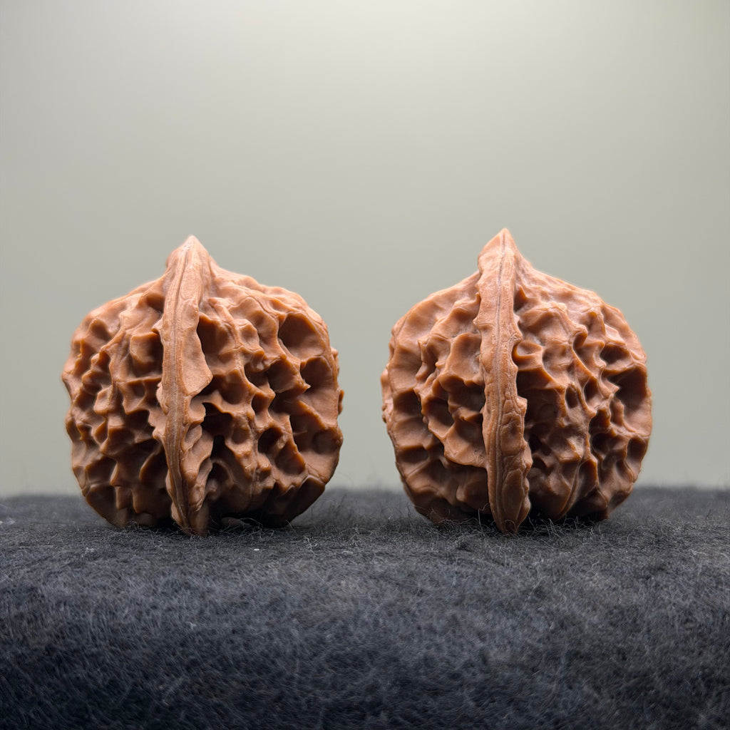Dragon Scale Wenwan Walnut · 39mm · Natural · Collector Ritual