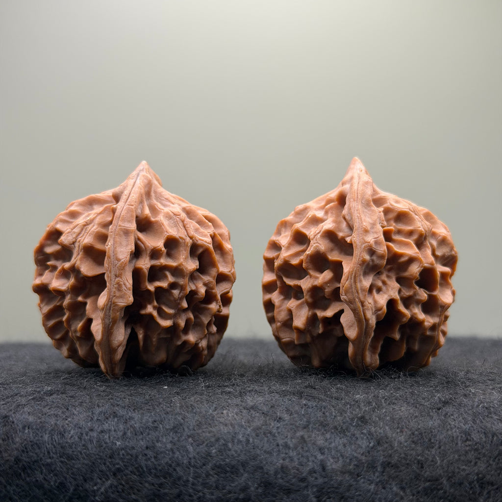 Dragon Scale Wenwan Walnut · 39mm · Natural · Collector Ritual