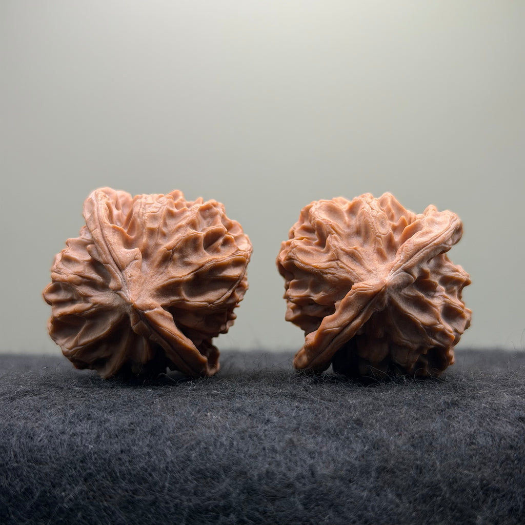 Dragon Scale Wenwan Walnut · 39mm · Natural · Collector Ritual