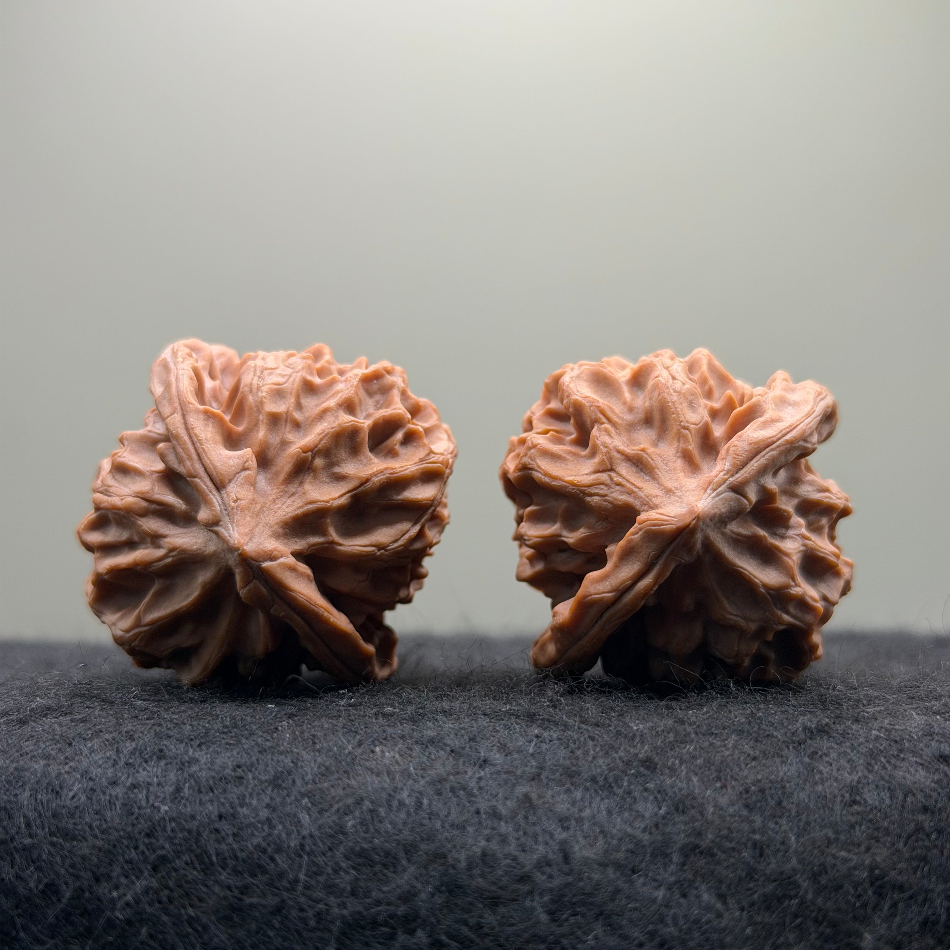 Dragon Scale Wenwan Walnut · 39mm · Natural · Collector Ritual