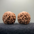 Plantain Fan Wenwan Walnut · 38mm · Natural · Select Ritual