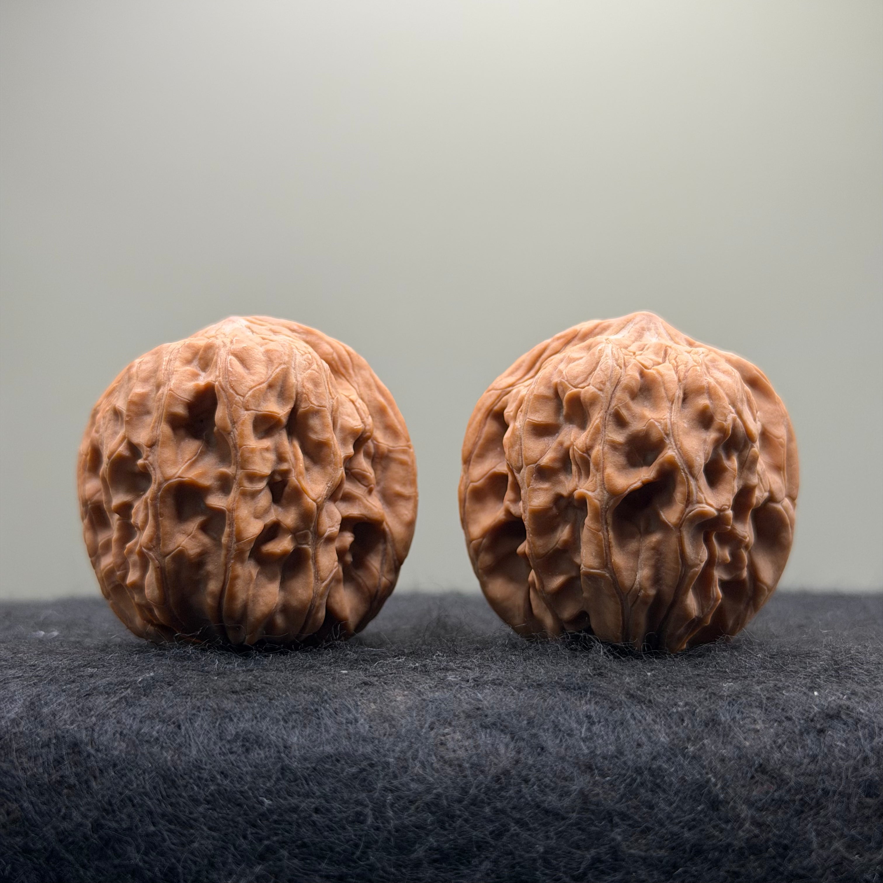 Plantain Fan Wenwan Walnut · 38mm · Natural · Select Ritual