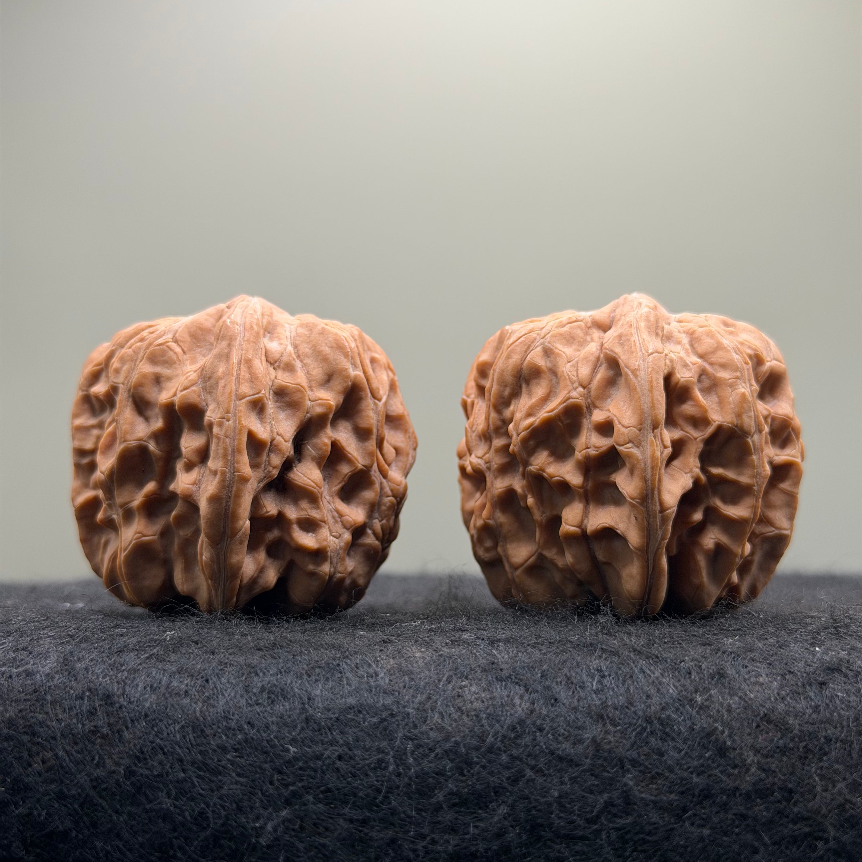 Plantain Fan Wenwan Walnut · 38mm · Natural · Select Ritual