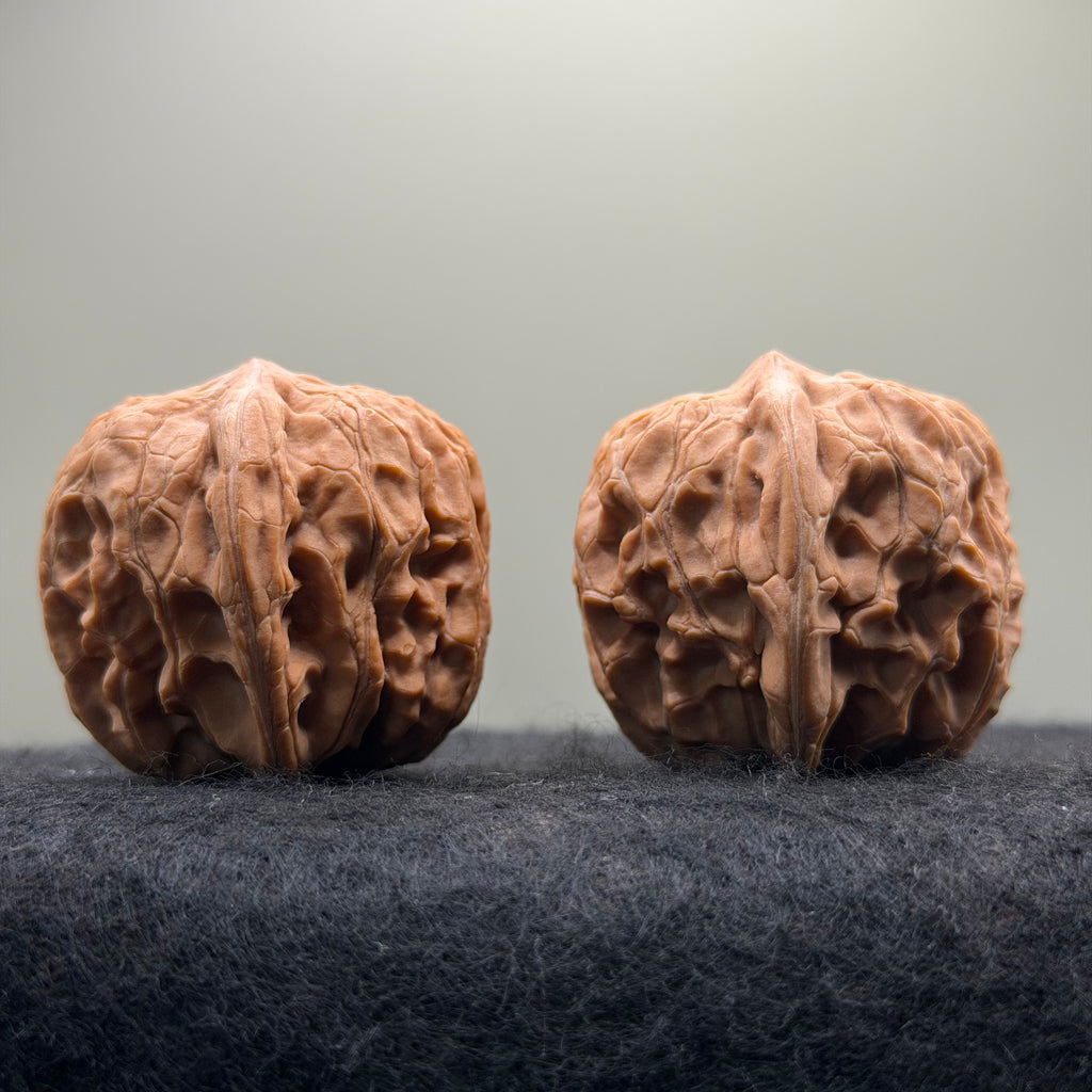 Plantain Fan Wenwan Walnut · 38mm · Natural · Select Ritual