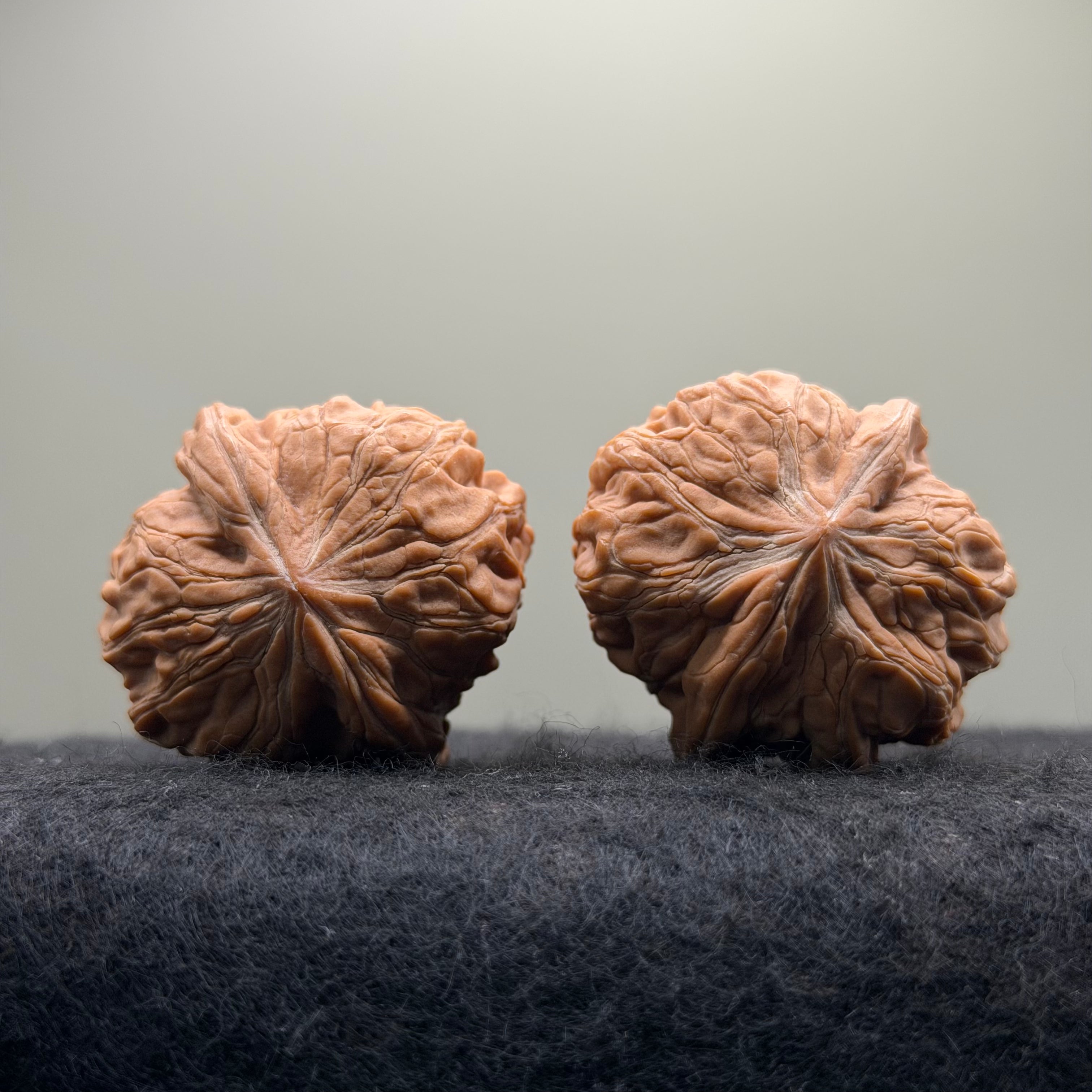 Plantain Fan Wenwan Walnut · 38mm · Natural · Select Ritual