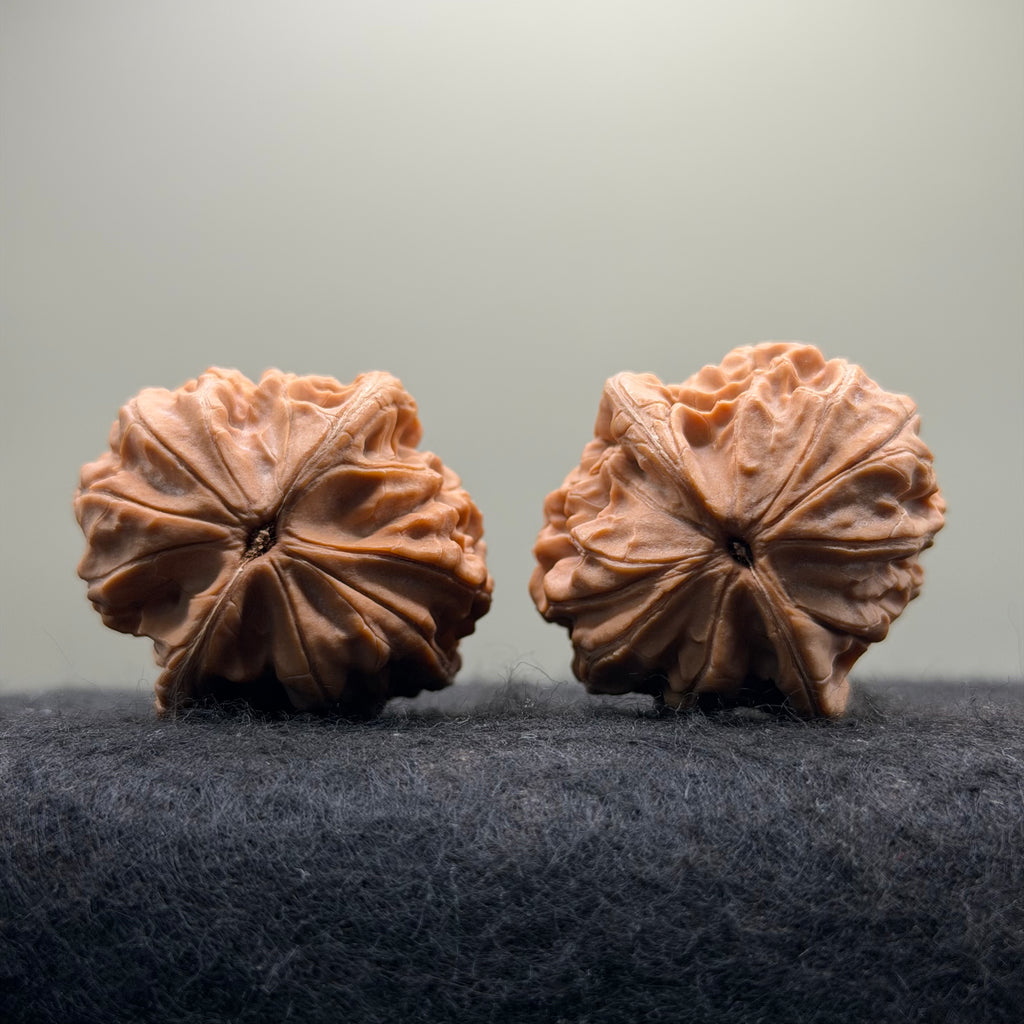 Plantain Fan Wenwan Walnut · 38mm · Natural · Select Ritual