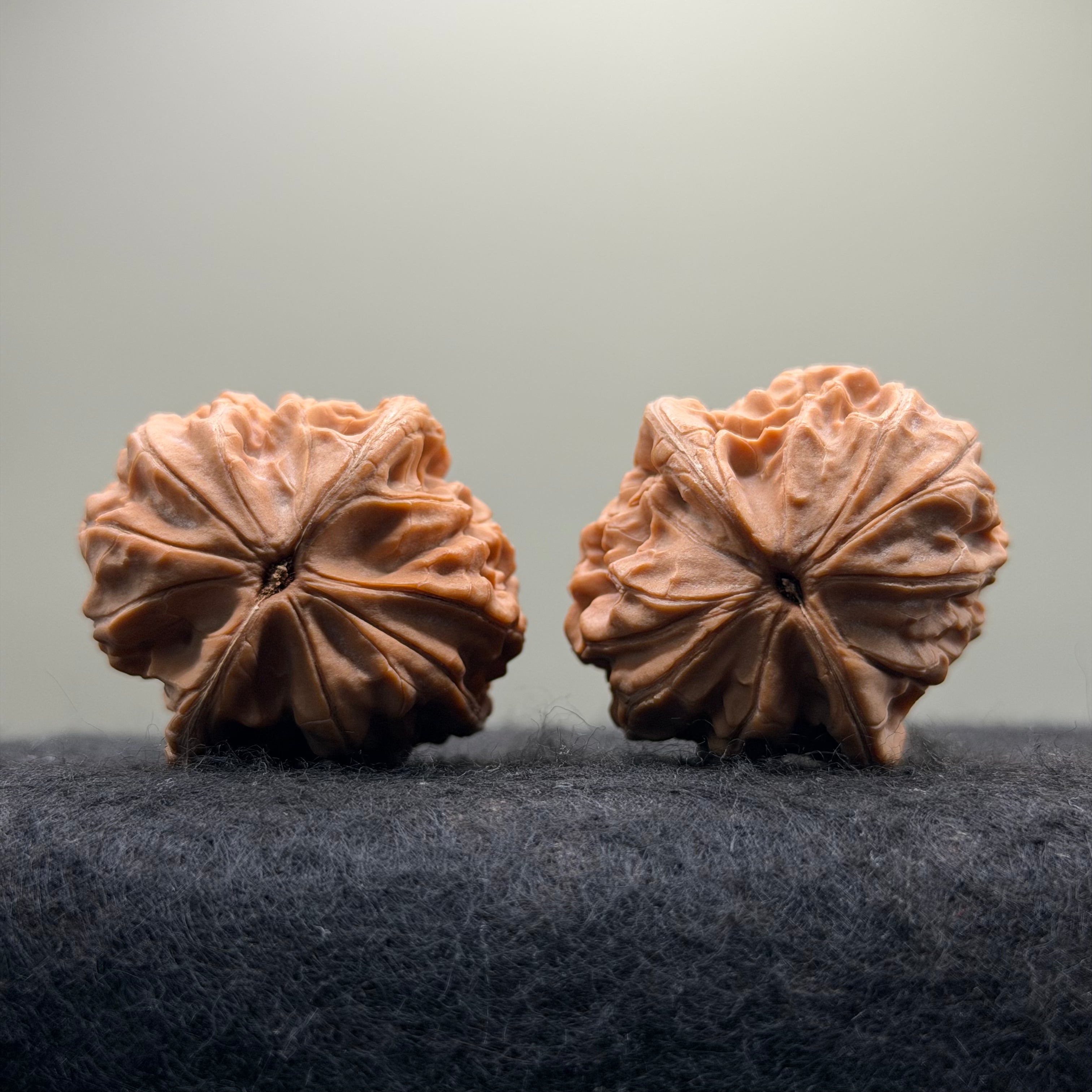 Plantain Fan Wenwan Walnut · 38mm · Natural · Select Ritual
