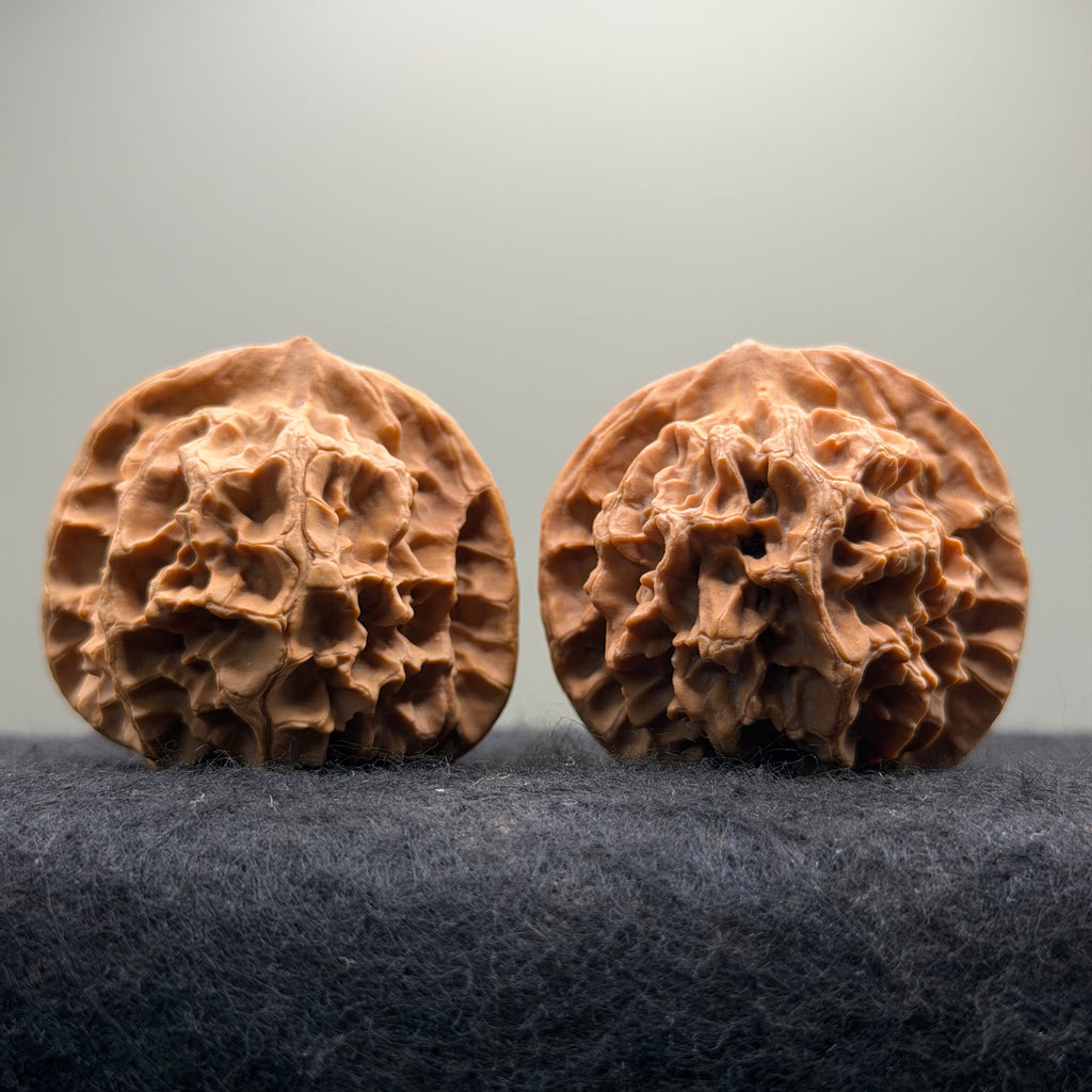 Emperor Wenwan Walnut  · 46mm · Select Ritual