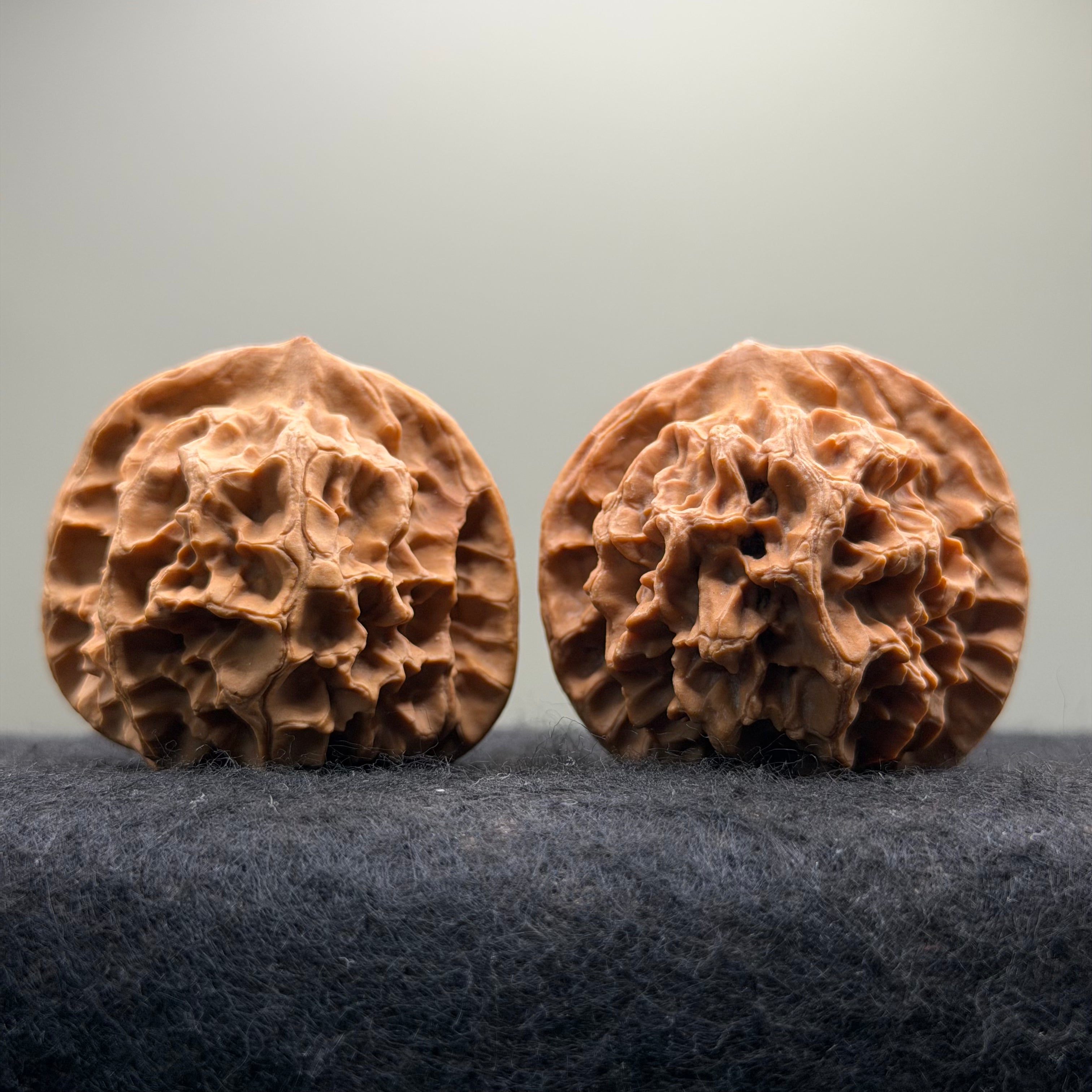 Emperor Wenwan Walnut  · 46mm · Select Ritual