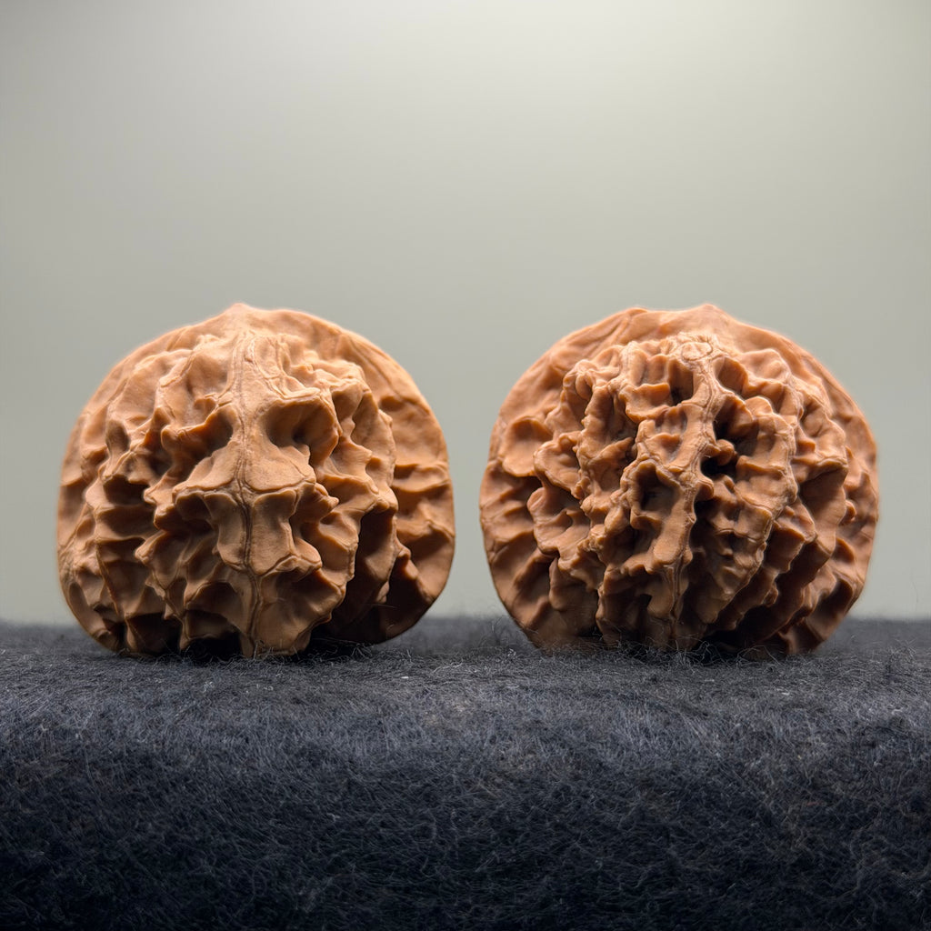Emperor Wenwan Walnut  · 46mm · Select Ritual