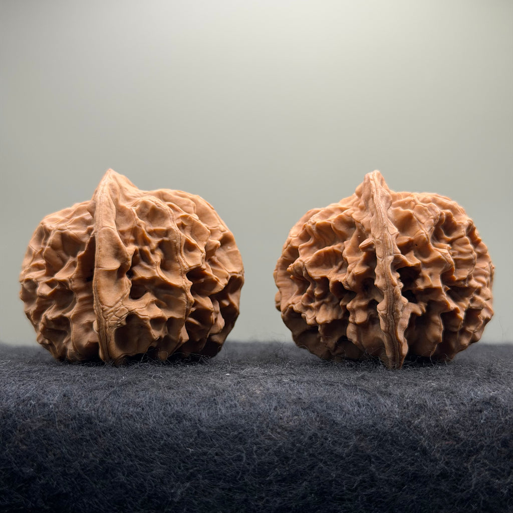 Emperor Wenwan Walnut  · 46mm · Select Ritual