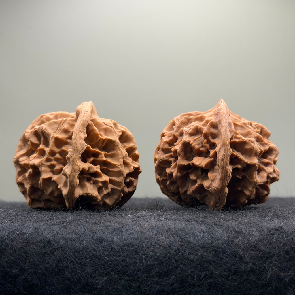 Emperor Wenwan Walnut  · 46mm · Select Ritual
