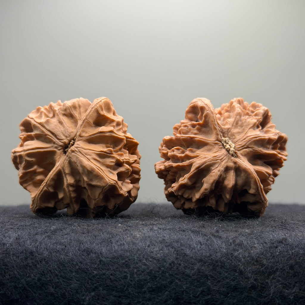 Emperor Wenwan Walnut  · 46mm · Select Ritual