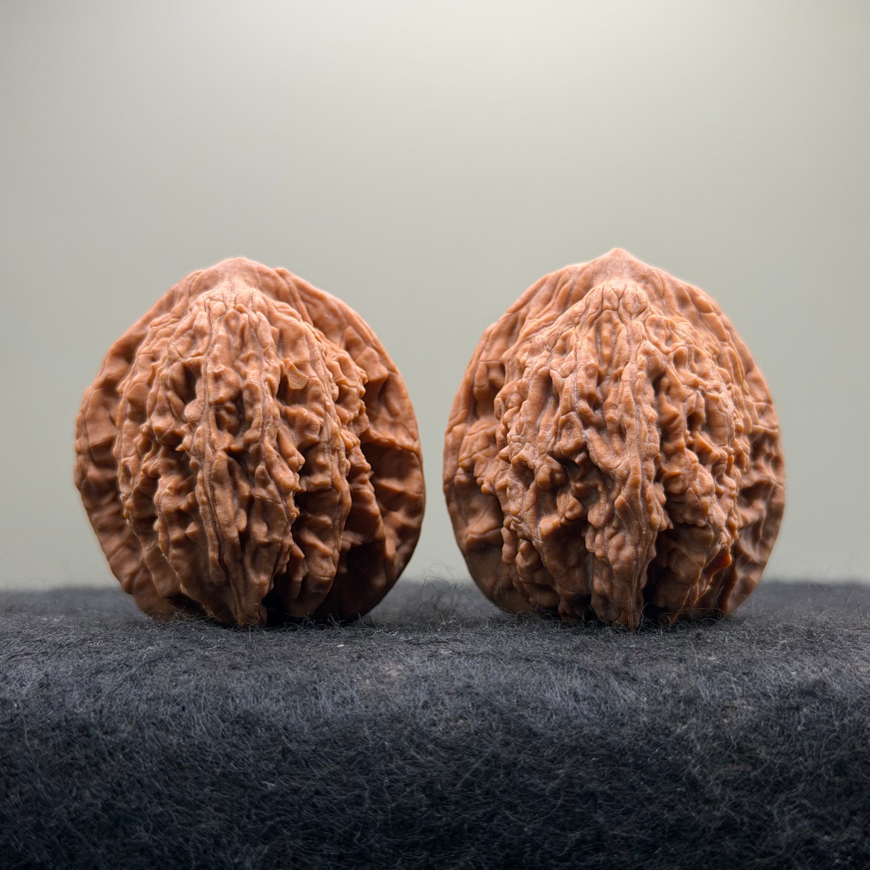 Wheat Ear Tiger Head Wenwan Walnut · 40mm · Select Ritual