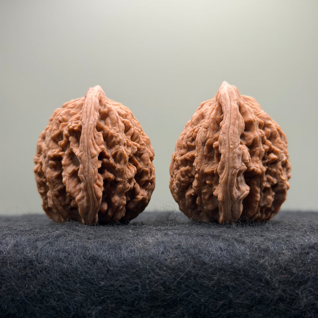 Wheat Ear Tiger Head Wenwan Walnut · 40mm · Select Ritual