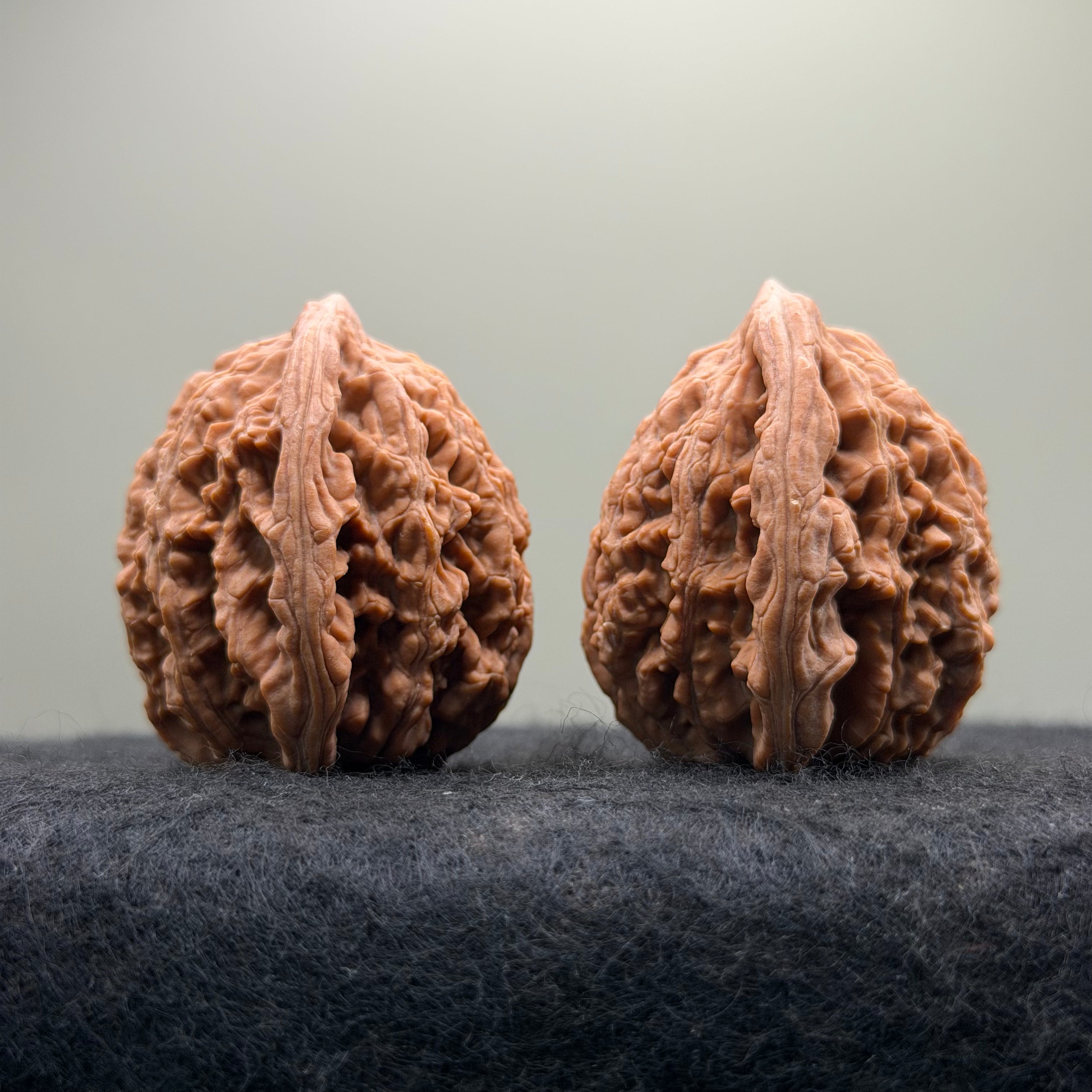 Wheat Ear Tiger Head Wenwan Walnut · 40mm · Select Ritual