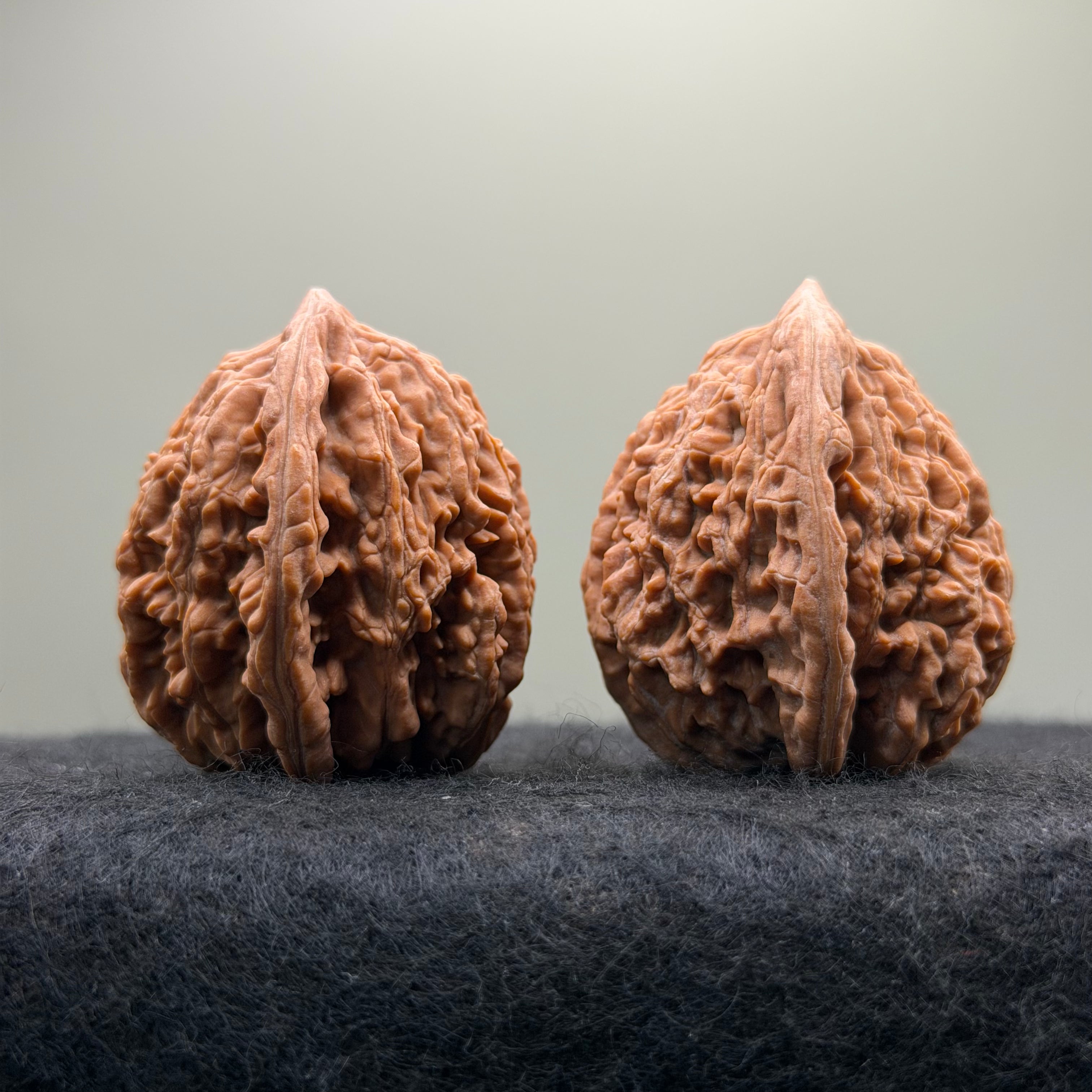 Wheat Ear Tiger Head Wenwan Walnut · 40mm · Select Ritual