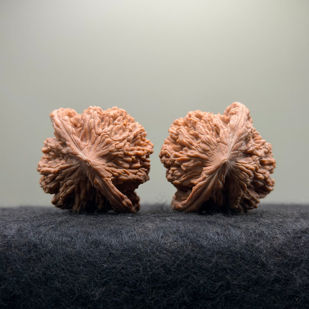 Wheat Ear Tiger Head Wenwan Walnut · 40mm · Select Ritual