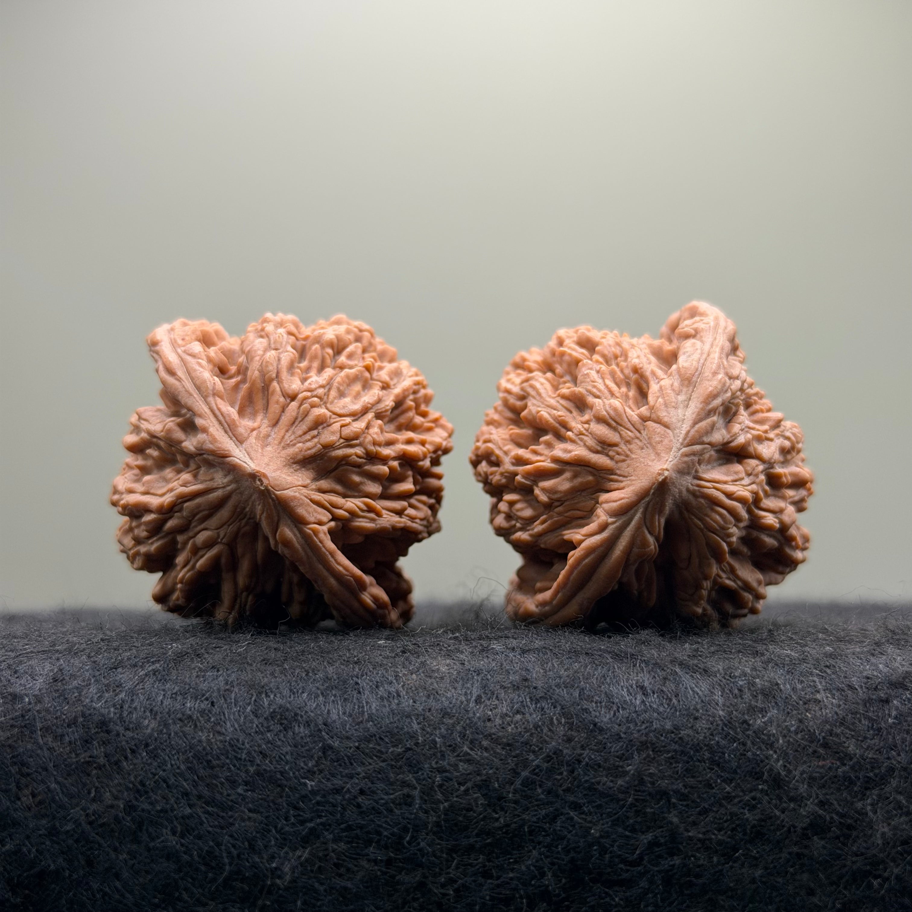 Wheat Ear Tiger Head Wenwan Walnut · 40mm · Select Ritual