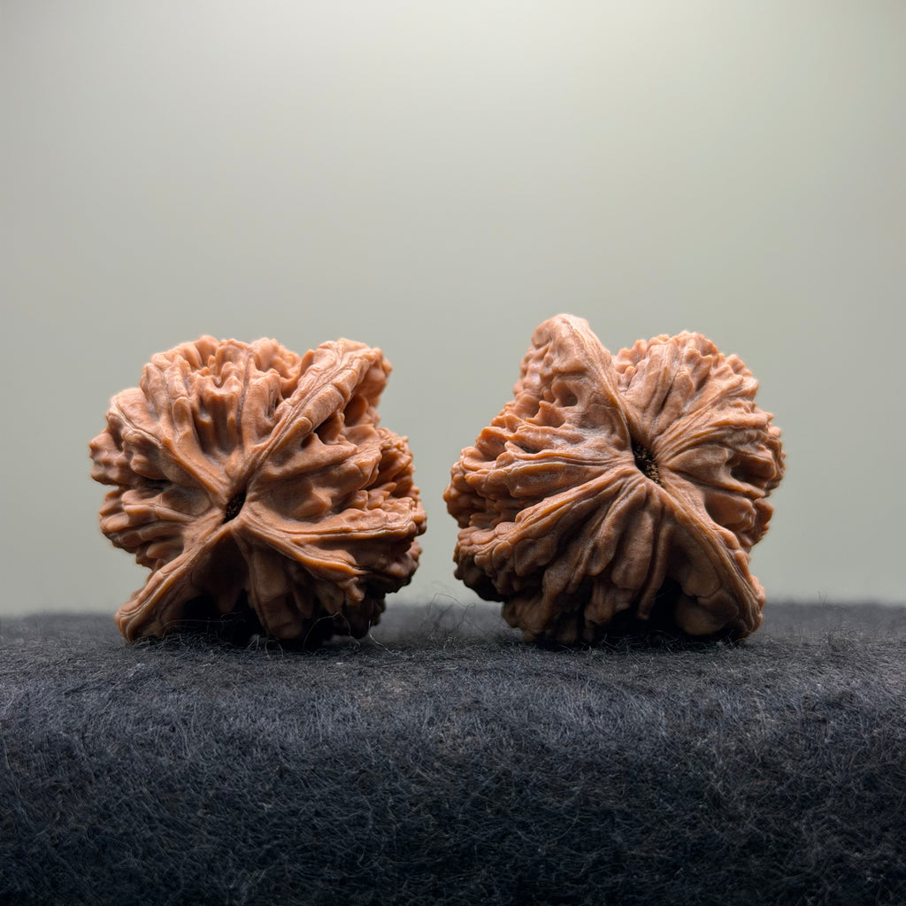 Wheat Ear Tiger Head Wenwan Walnut · 40mm · Select Ritual