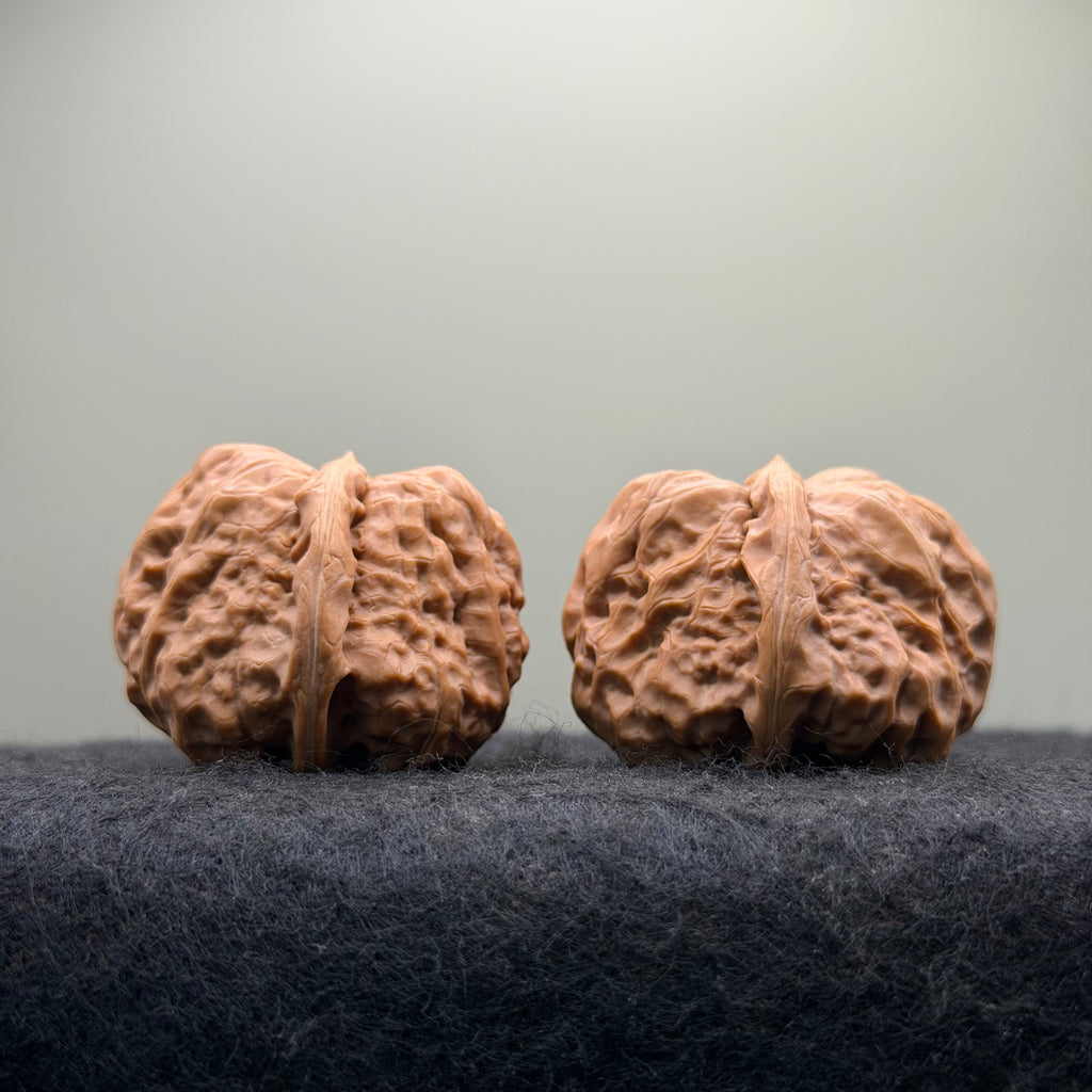 Toad Head Wenwan Walnut · 39mm · Entry Ritual