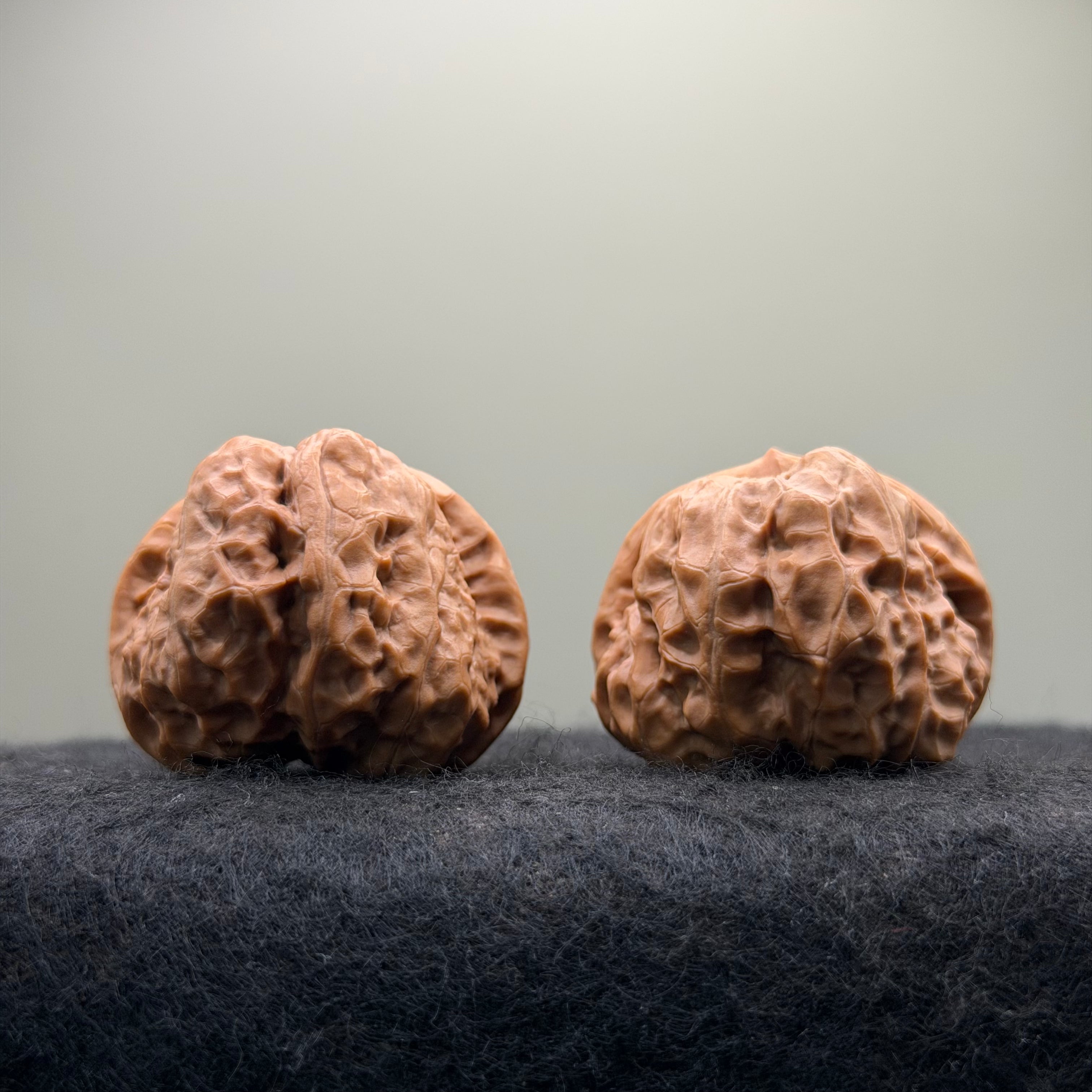 Toad Head Wenwan Walnut · 39mm · Entry Ritual