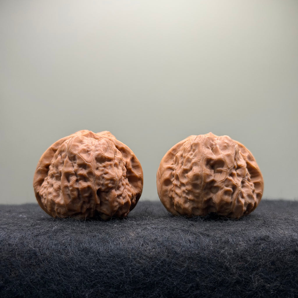 Toad Head Wenwan Walnut · 39mm · Entry Ritual