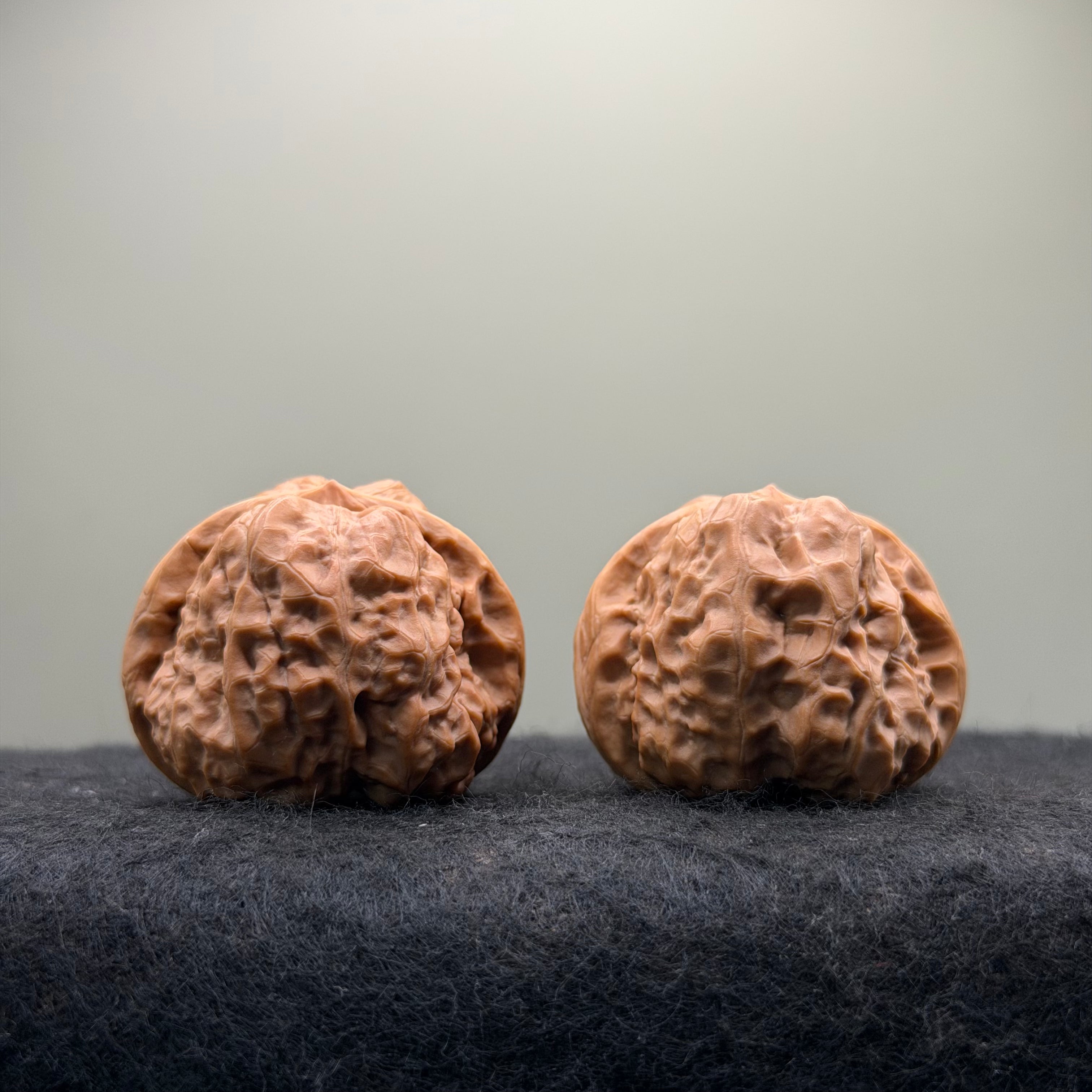 Toad Head Wenwan Walnut · 39mm · Entry Ritual