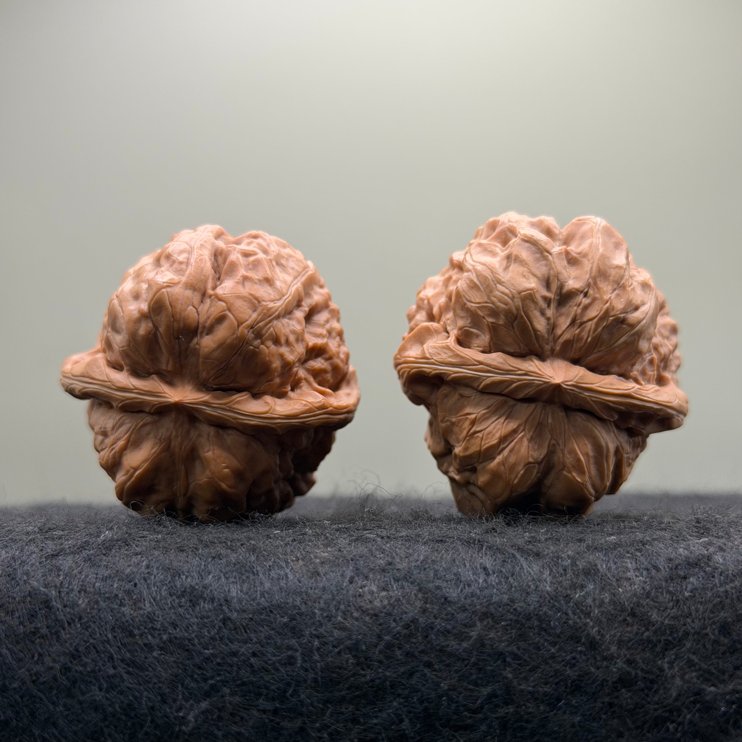 Toad Head Wenwan Walnut · 39mm · Entry Ritual