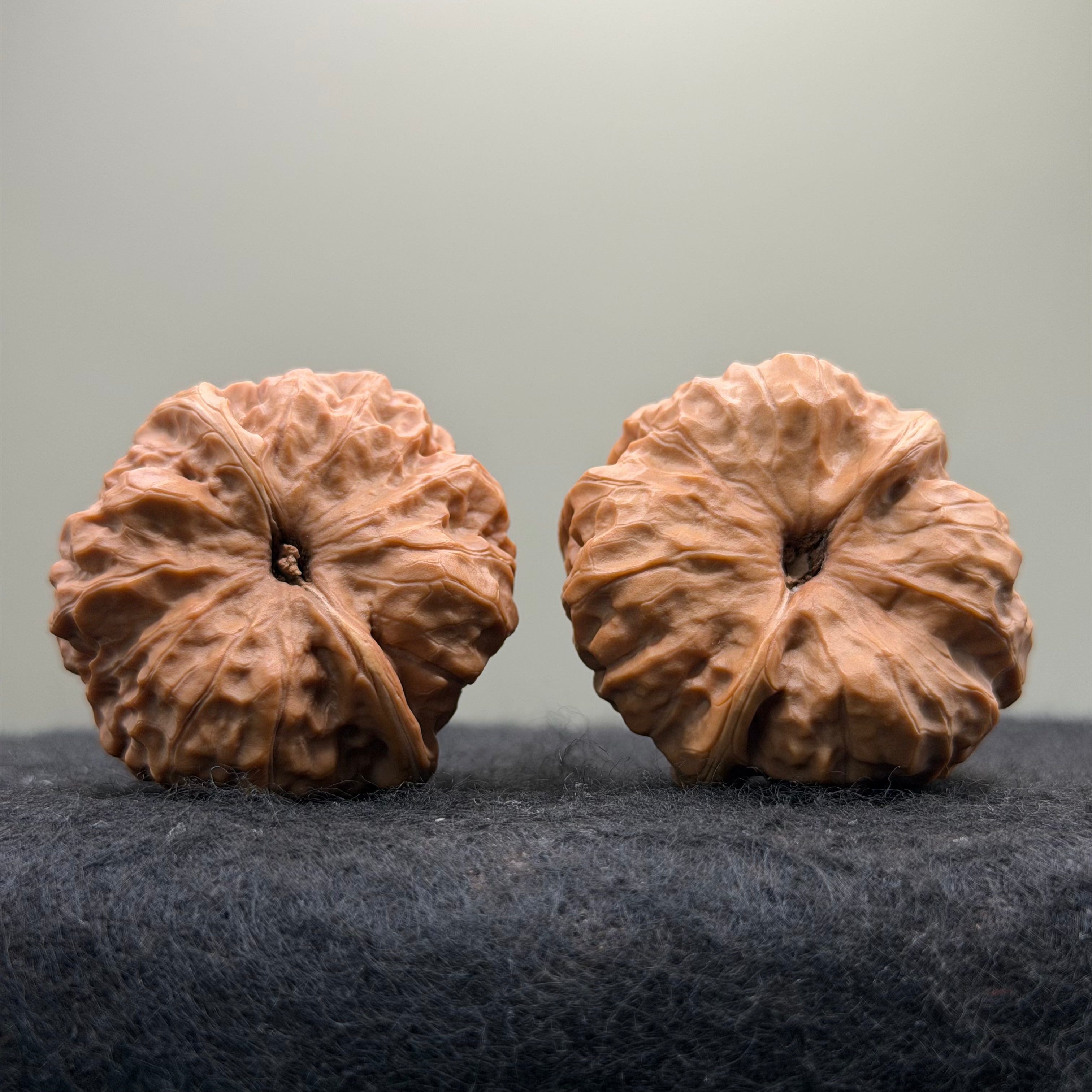 Toad Head Wenwan Walnut · 39mm · Entry Ritual